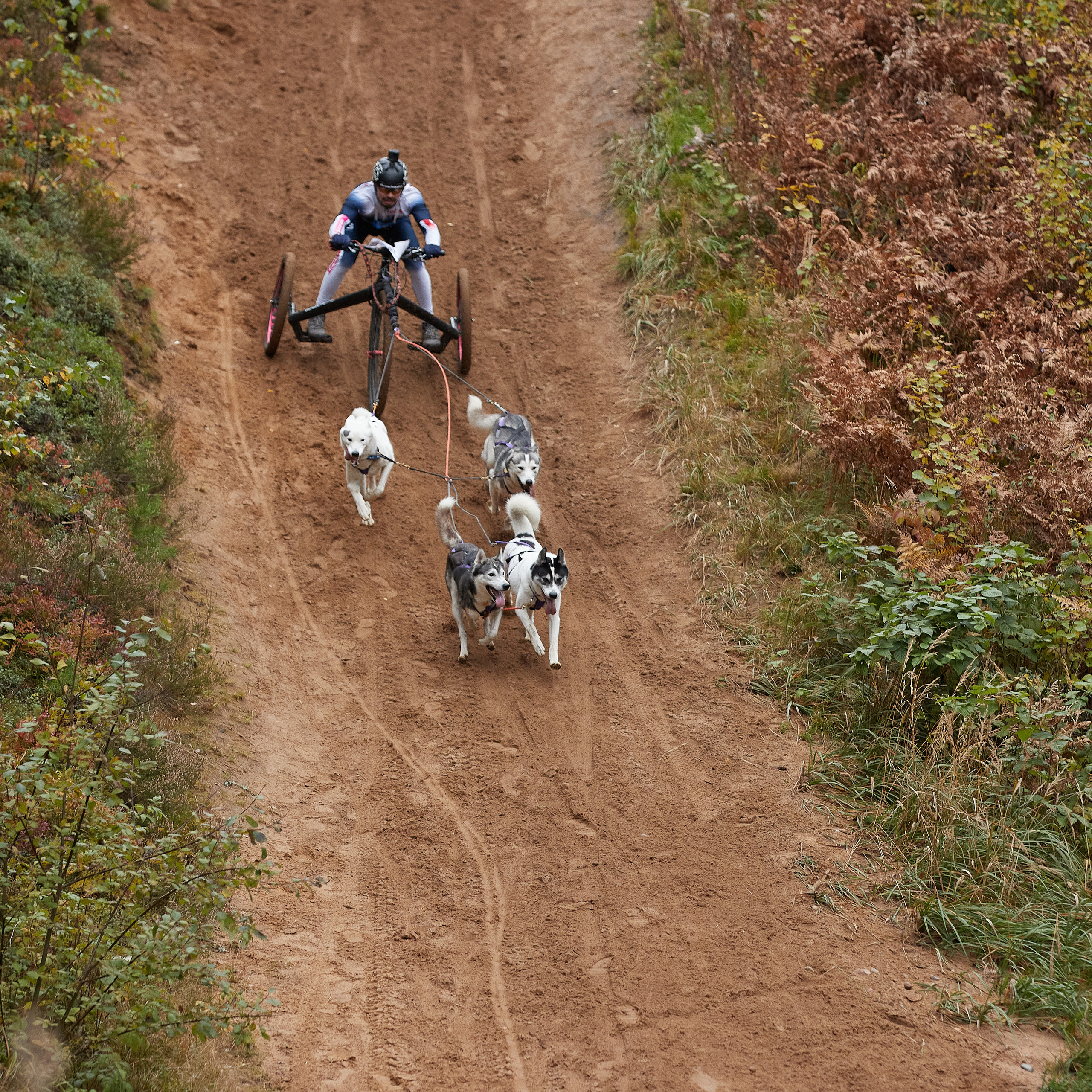 ЧЕМПИОНАТ РОССИИ РКФ 25–26 сентября 2021 г. ФОТОГРАФ-АНИМАЛИСТ l LANA POLYAKOVA