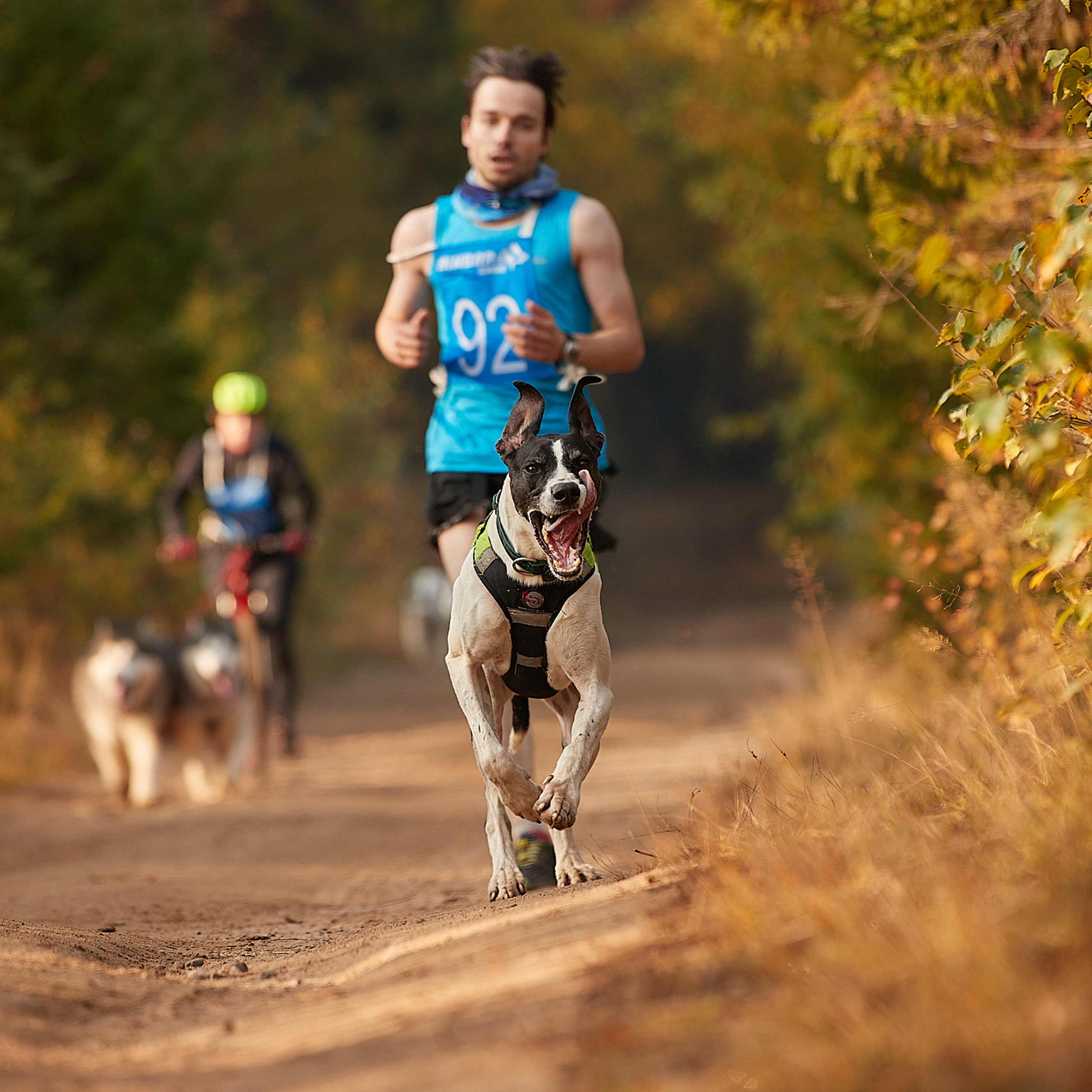 ЧЕМПИОНАТ РОССИИ РКФ 27 сентября 2020 г., 2й день. ФОТОГРАФ-АНИМАЛИСТ l LANA POLYAKOVA