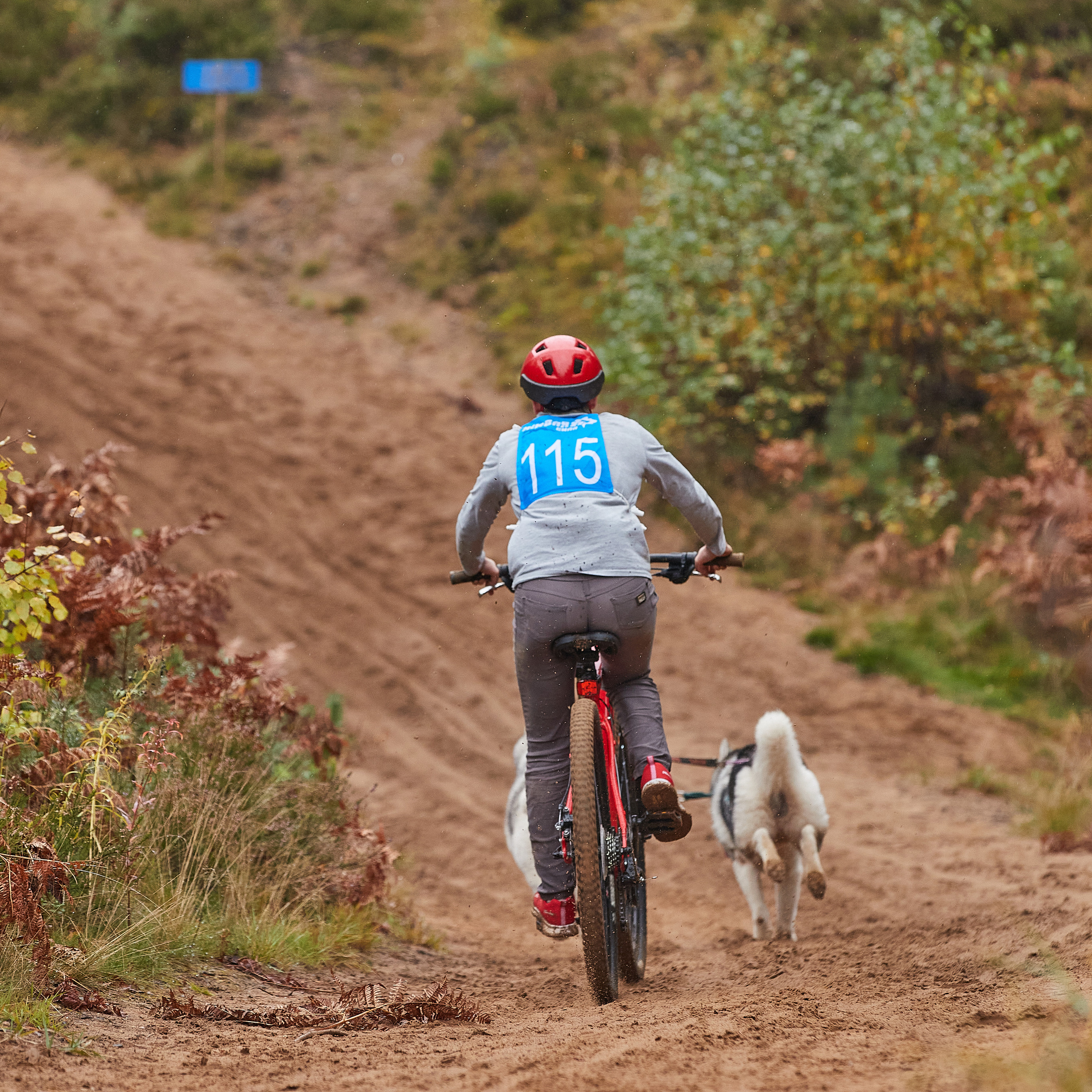 ЧЕМПИОНАТ РОССИИ РКФ 25–26 сентября 2021 г. ФОТОГРАФ-АНИМАЛИСТ l LANA POLYAKOVA