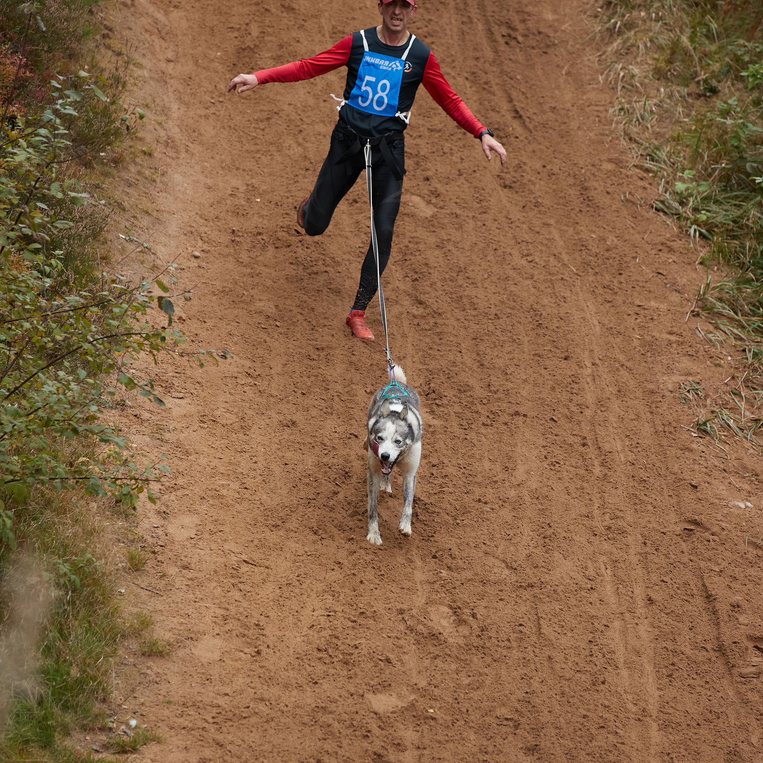 ЧЕМПИОНАТ РОССИИ РКФ 25–26 сентября 2021 г. ФОТОГРАФ-АНИМАЛИСТ l LANA POLYAKOVA