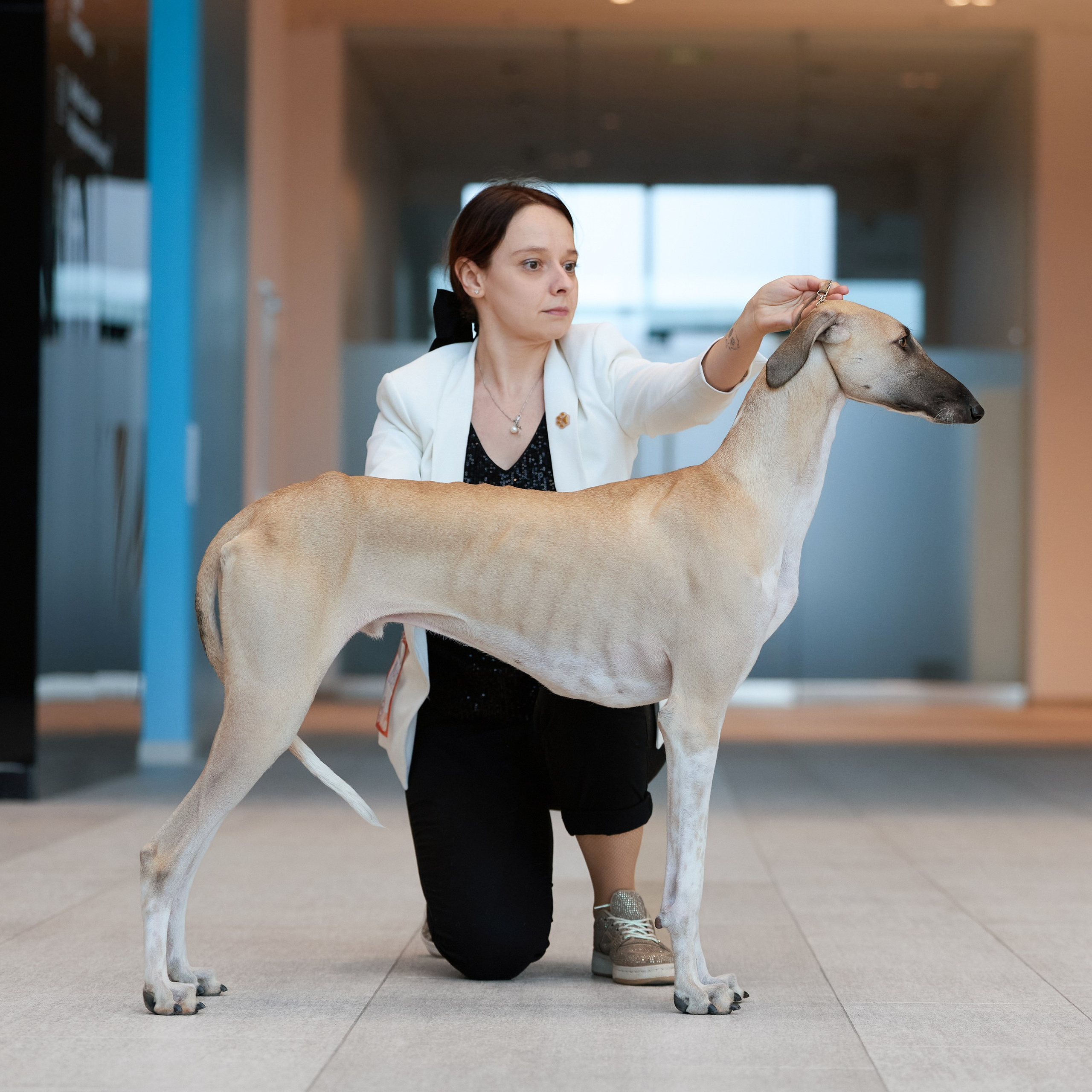 ВЫСТАВКА СОБАК С ОСОБЫМ СТАТУСОМ «НЕВСКИЙ ПОБЕДИТЕЛЬ» 12-13-14.12.2025. ФОТОГРАФ-АНИМАЛИСТ l LANA POLYAKOVA