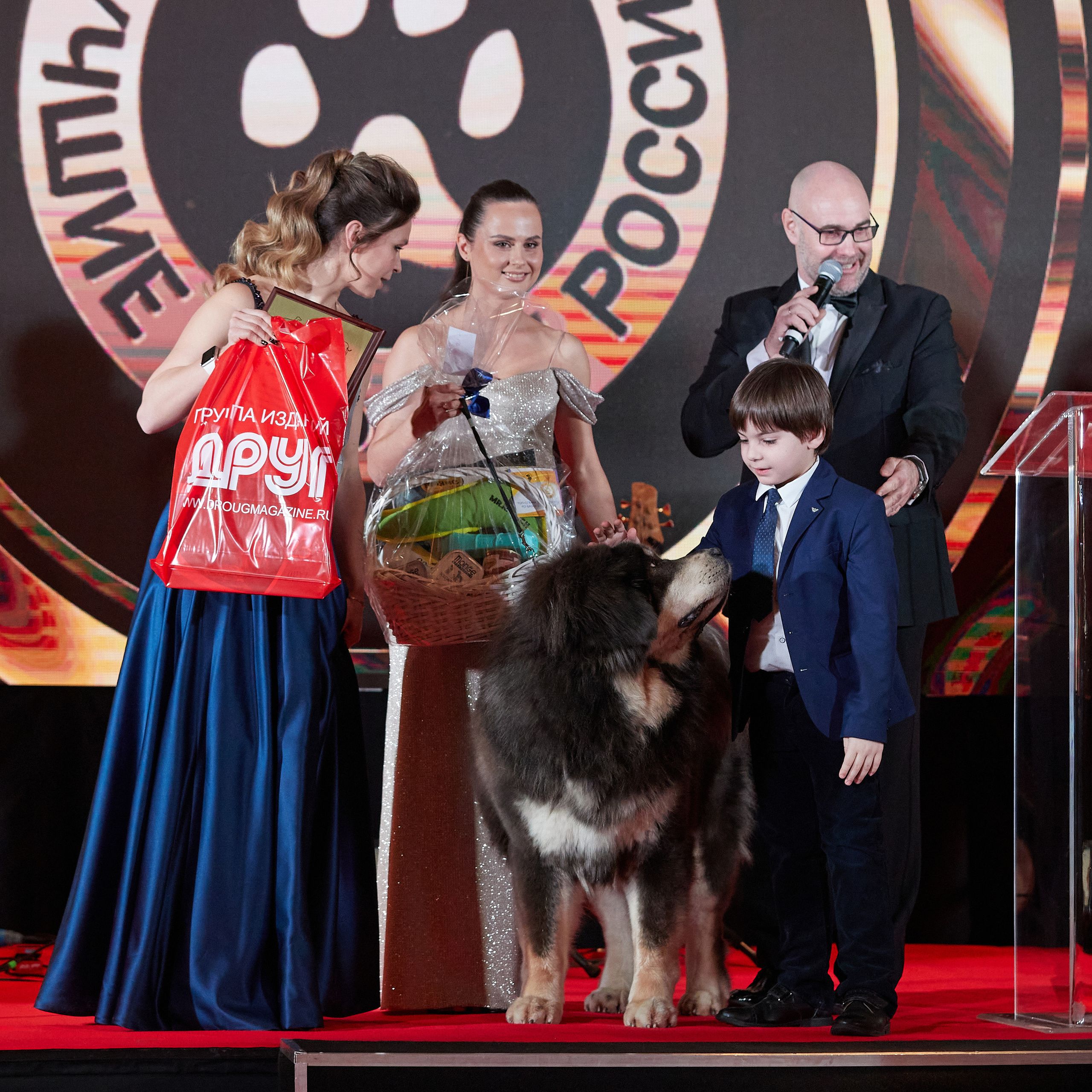 Репортаж с церемонии «BEST RUSSIAN DOG 2022». ФОТОГРАФ-АНИМАЛИСТ l LANA POLYAKOVA