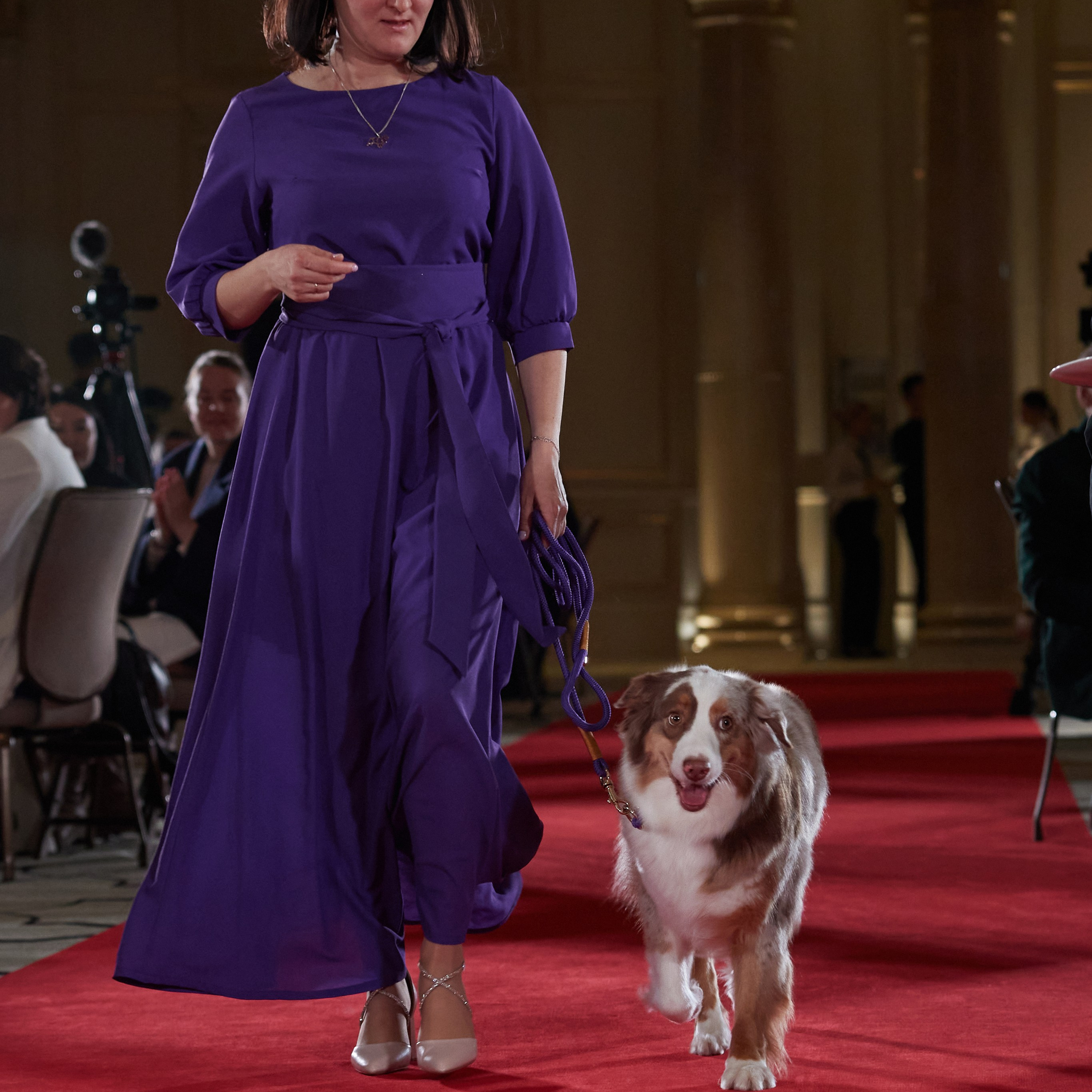 Репортаж с церемонии «BEST RUSSIAN DOG 2023». ФОТОГРАФ-АНИМАЛИСТ l LANA POLYAKOVA