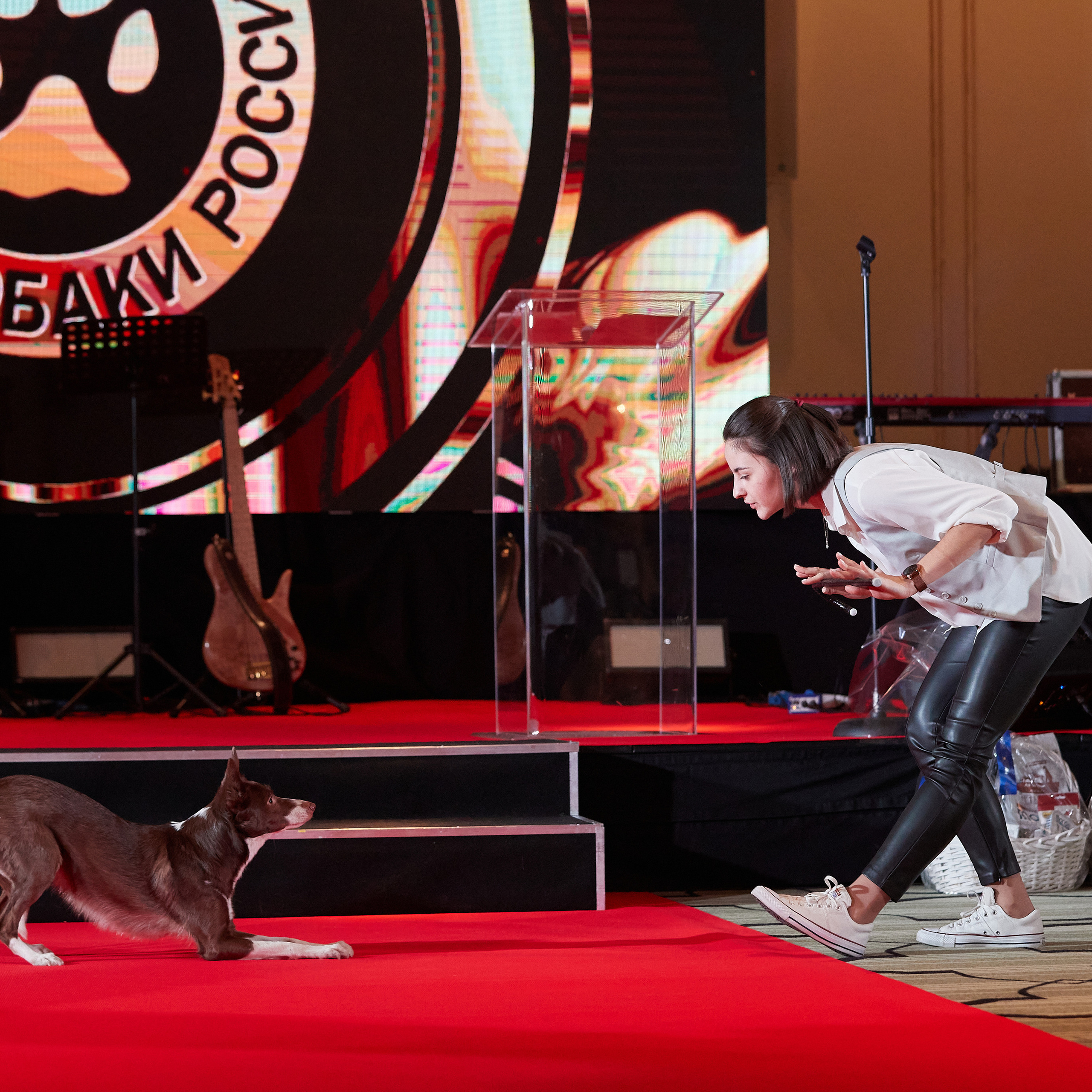 Репортаж с церемонии «BEST RUSSIAN DOG 2022». ФОТОГРАФ-АНИМАЛИСТ l LANA POLYAKOVA