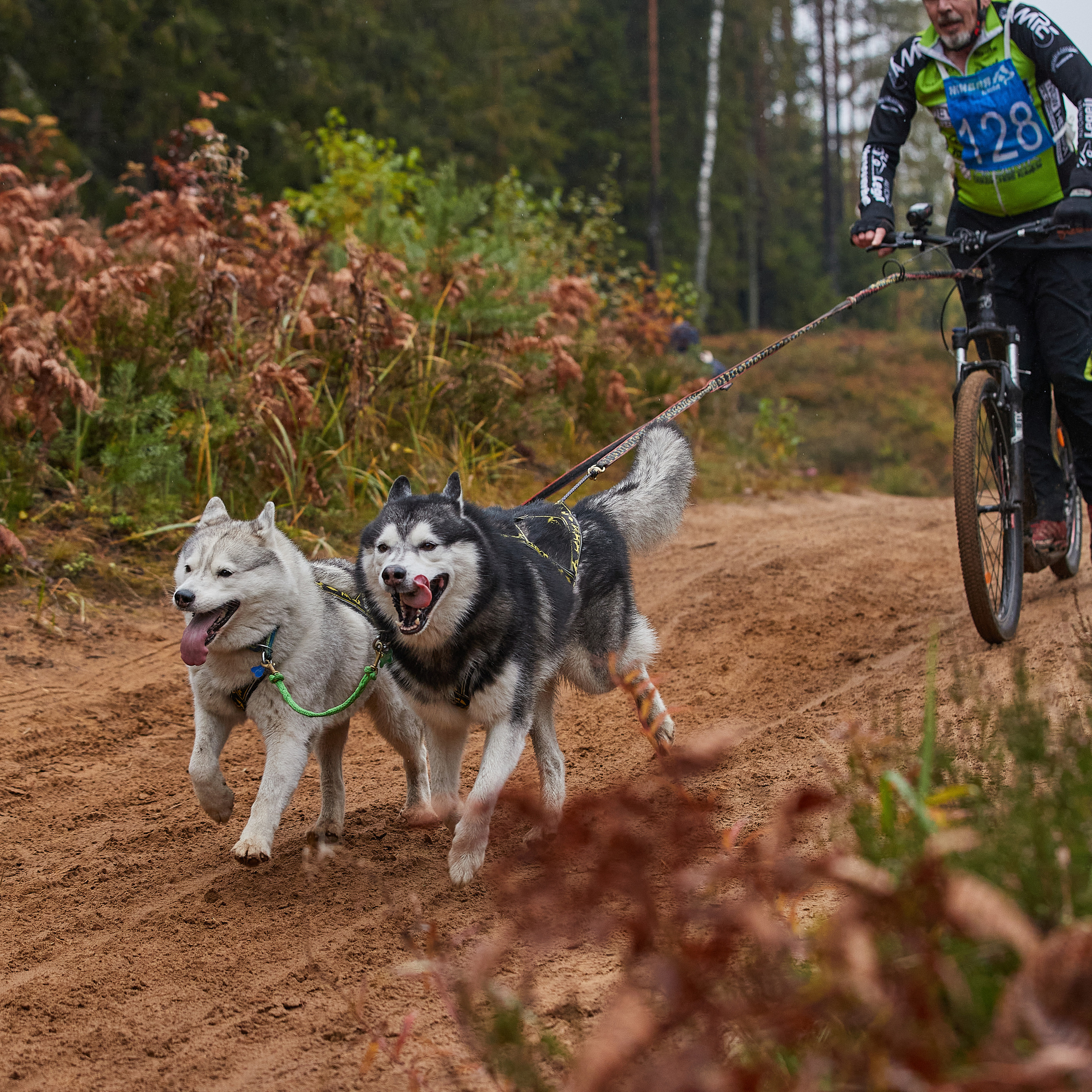 ЧЕМПИОНАТ РОССИИ РКФ 25–26 сентября 2021 г. ФОТОГРАФ-АНИМАЛИСТ l LANA POLYAKOVA