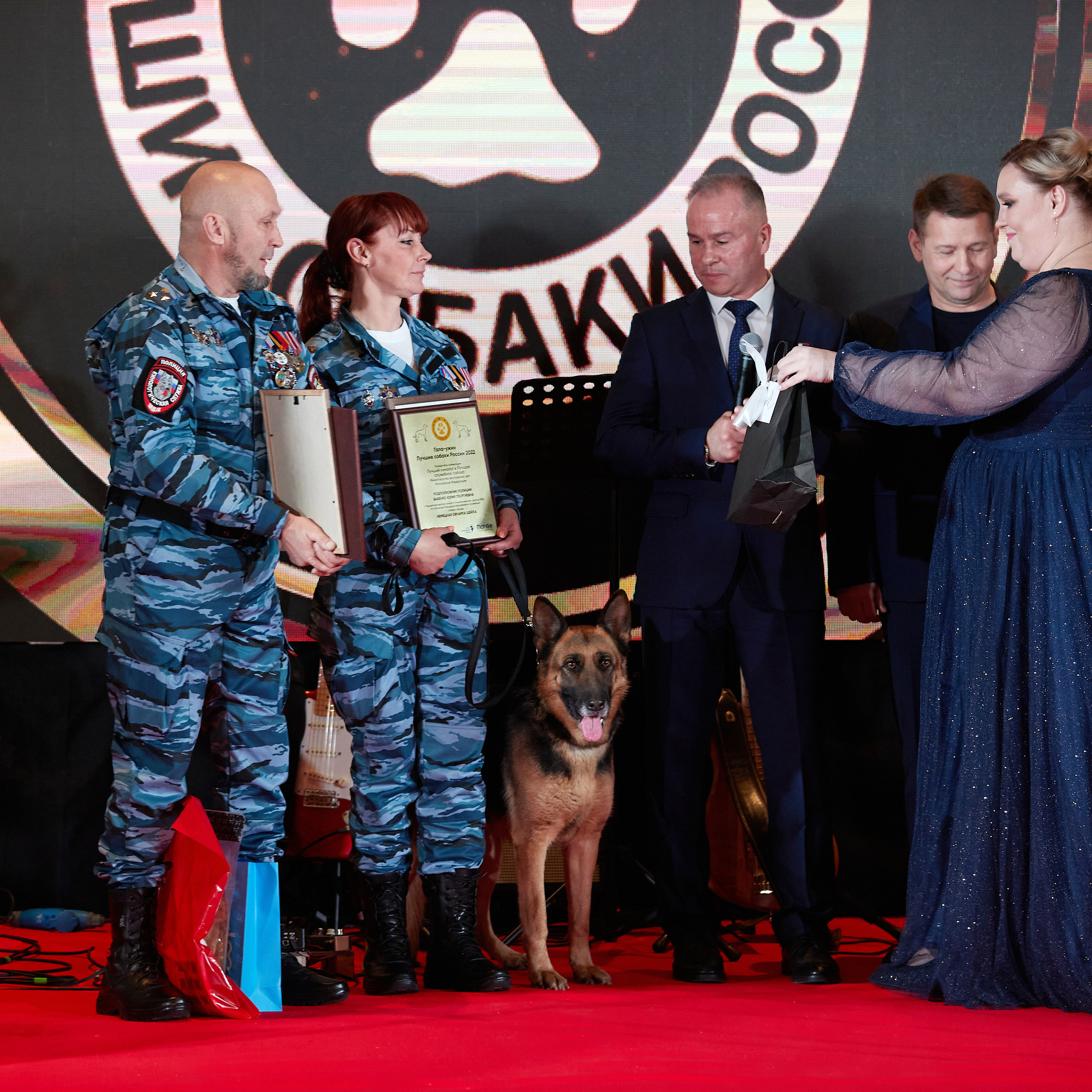 Репортаж с церемонии «BEST RUSSIAN DOG 2022». ФОТОГРАФ-АНИМАЛИСТ l LANA POLYAKOVA