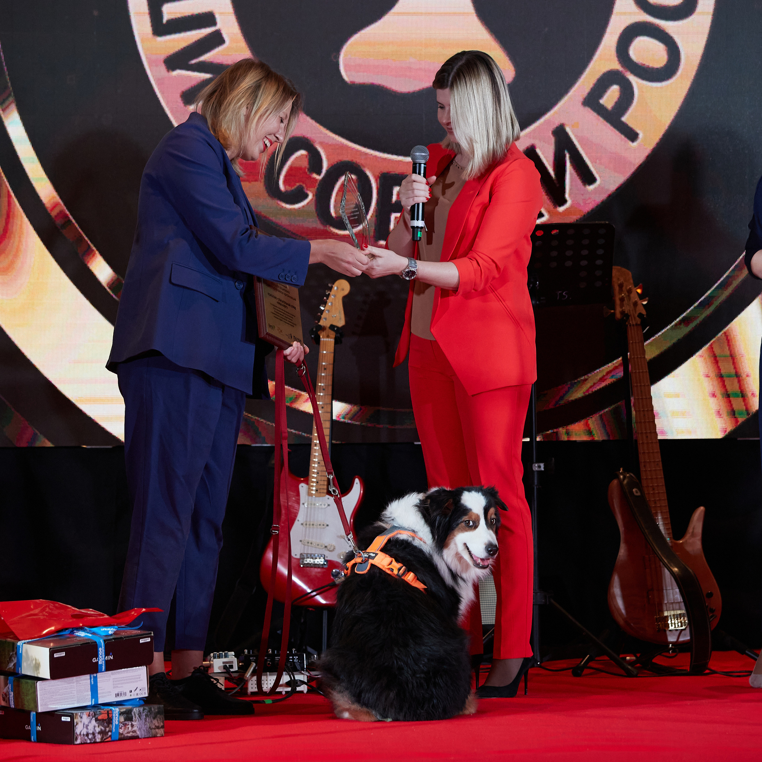 Репортаж с церемонии «BEST RUSSIAN DOG 2022». ФОТОГРАФ-АНИМАЛИСТ l LANA POLYAKOVA