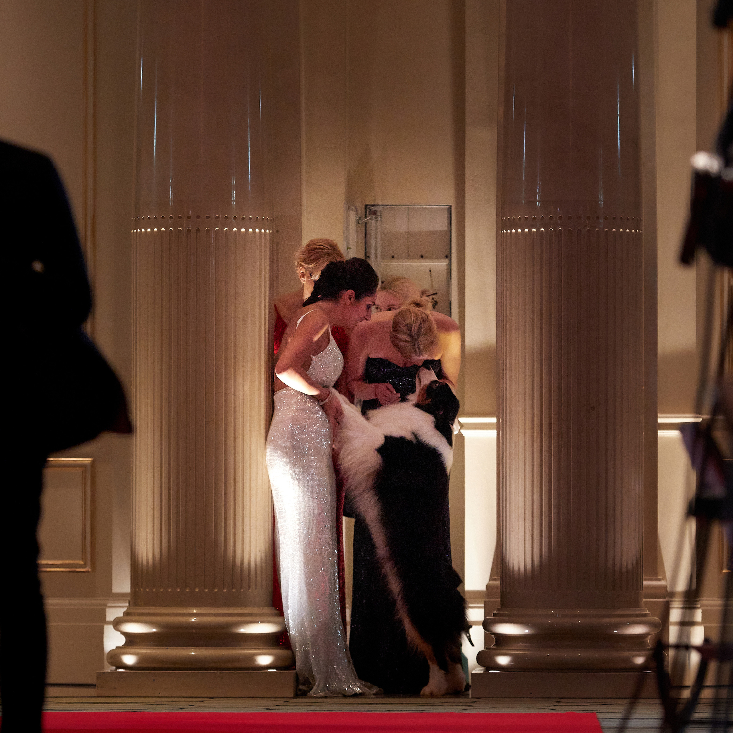 Репортаж с церемонии «BEST RUSSIAN DOG 2022». ФОТОГРАФ-АНИМАЛИСТ l LANA POLYAKOVA