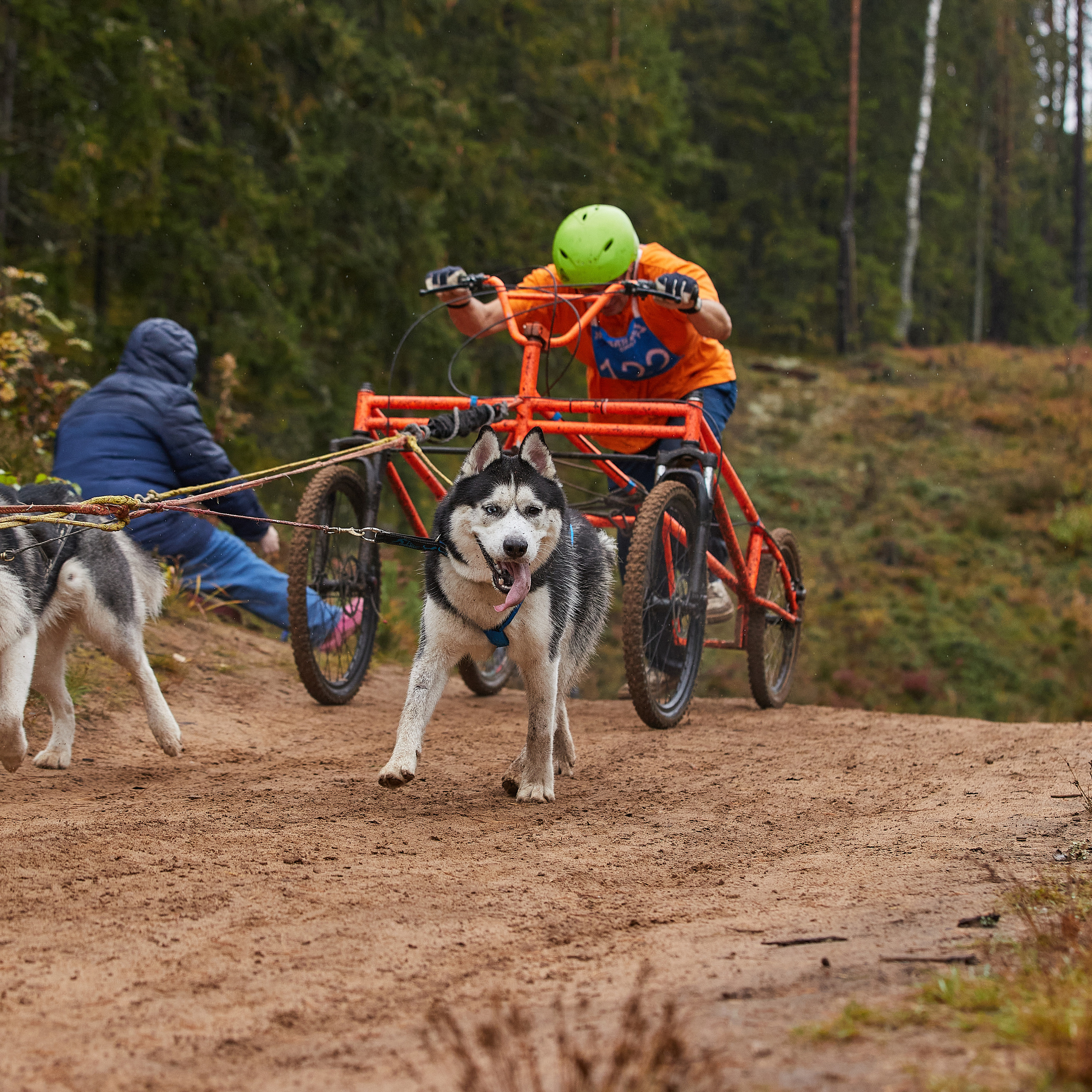 ЧЕМПИОНАТ РОССИИ РКФ 25–26 сентября 2021 г. ФОТОГРАФ-АНИМАЛИСТ l LANA POLYAKOVA
