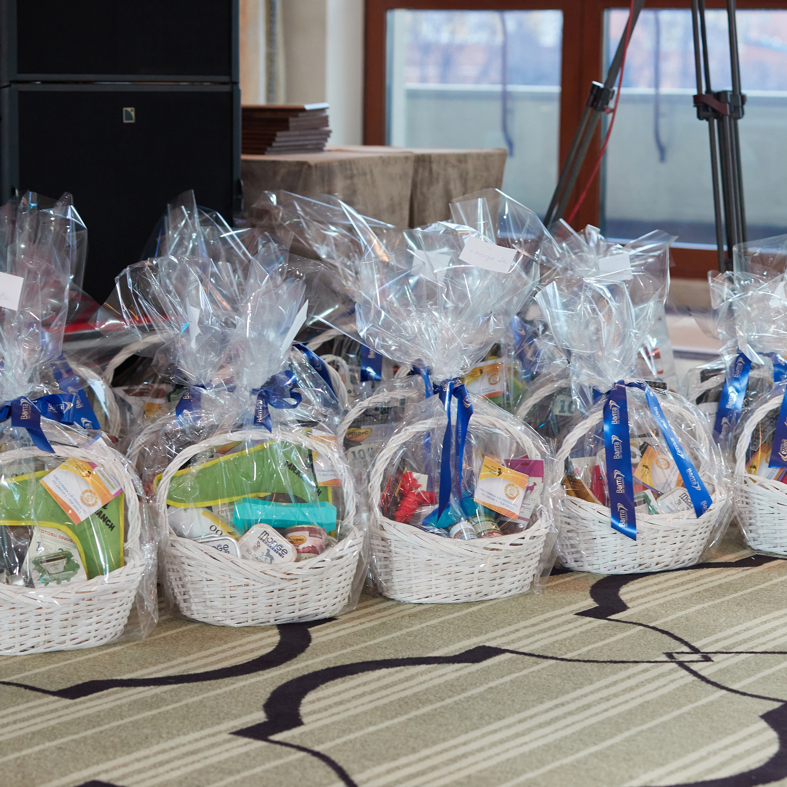 Репортаж с церемонии «BEST RUSSIAN DOG 2022». ФОТОГРАФ-АНИМАЛИСТ l LANA POLYAKOVA