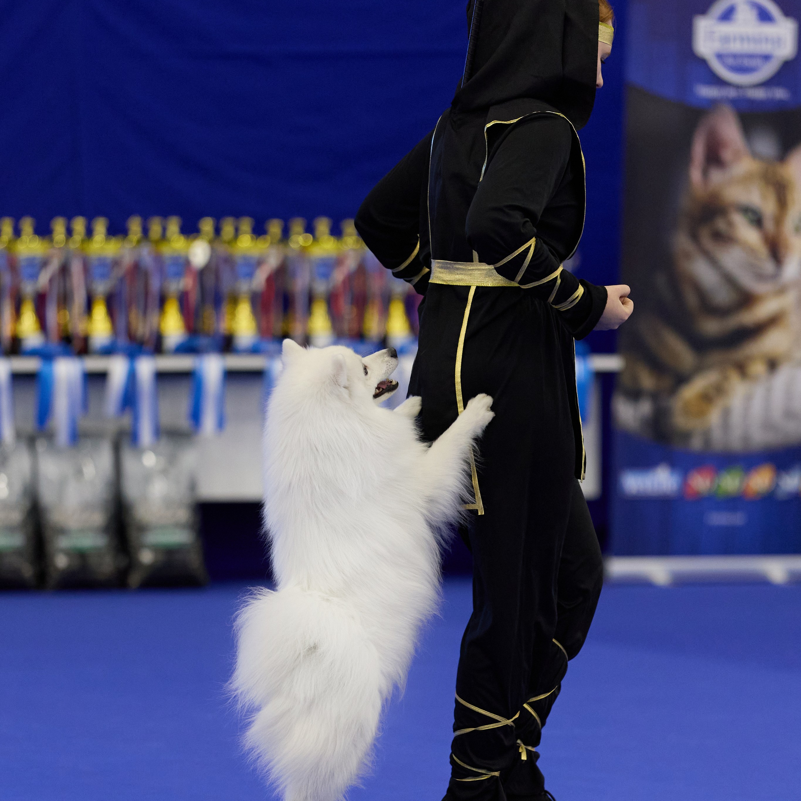 ВЫСТАВКА СОБАК С ОСОБЫМ СТАТУСОМ «НЕВСКИЙ ПОБЕДИТЕЛЬ» 12-13-14.12.2025. ФОТОГРАФ-АНИМАЛИСТ l LANA POLYAKOVA