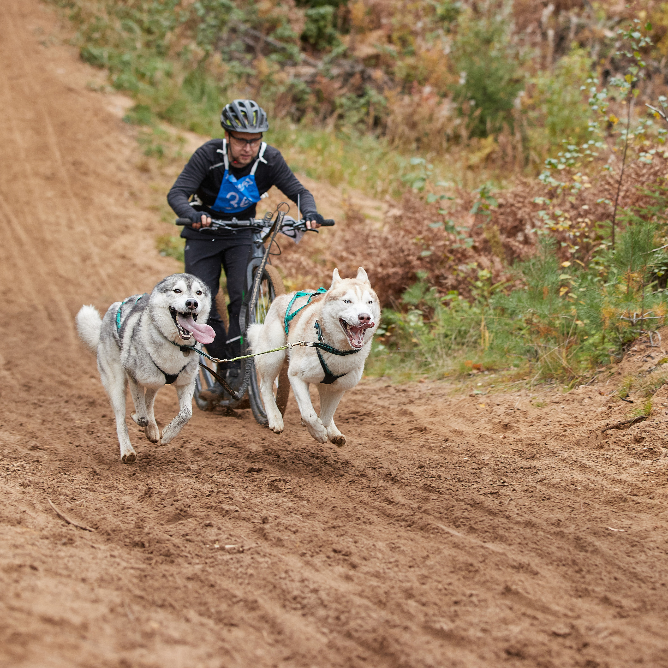 ЧЕМПИОНАТ РОССИИ РКФ 25–26 сентября 2021 г. ФОТОГРАФ-АНИМАЛИСТ l LANA POLYAKOVA