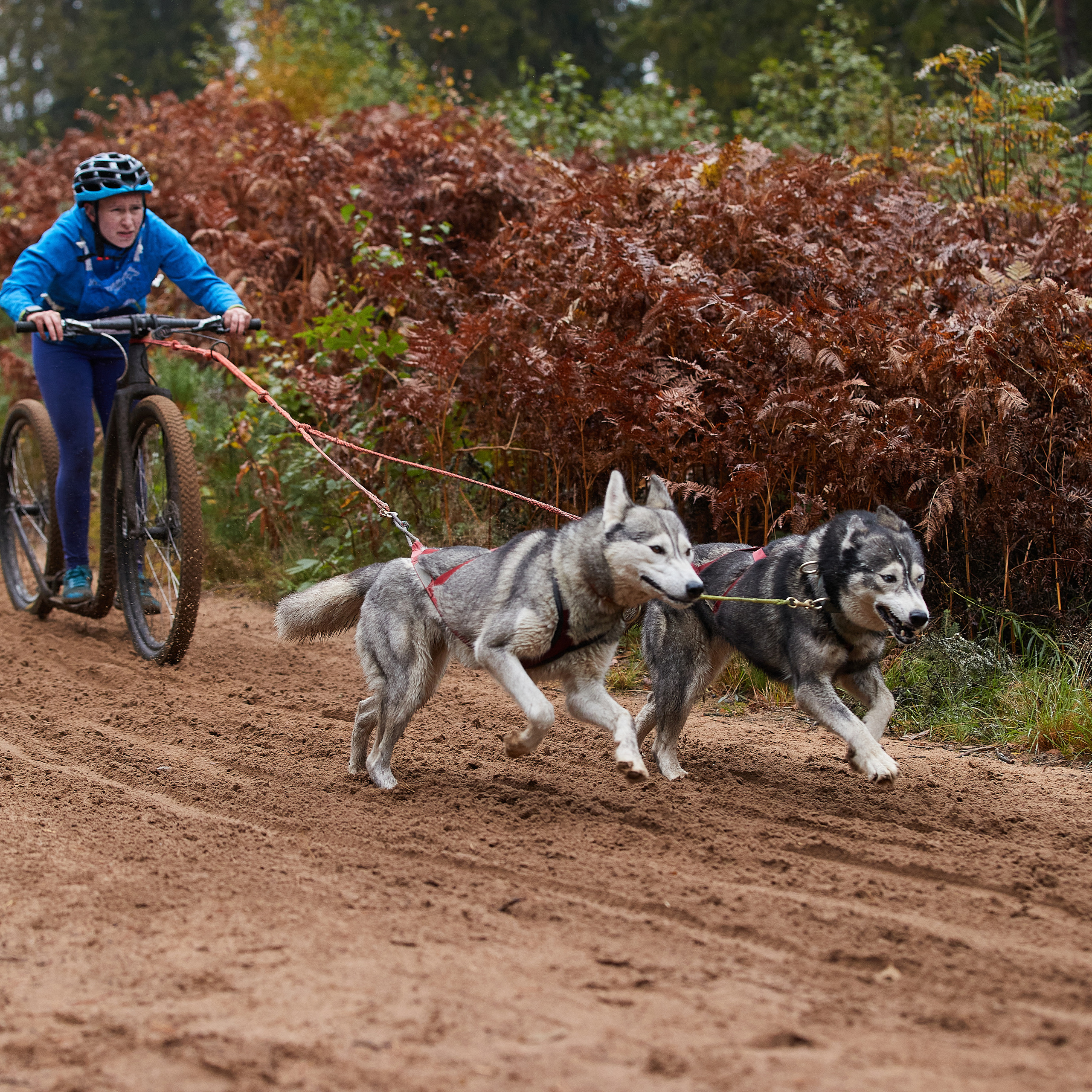 ЧЕМПИОНАТ РОССИИ РКФ 25–26 сентября 2021 г. ФОТОГРАФ-АНИМАЛИСТ l LANA POLYAKOVA