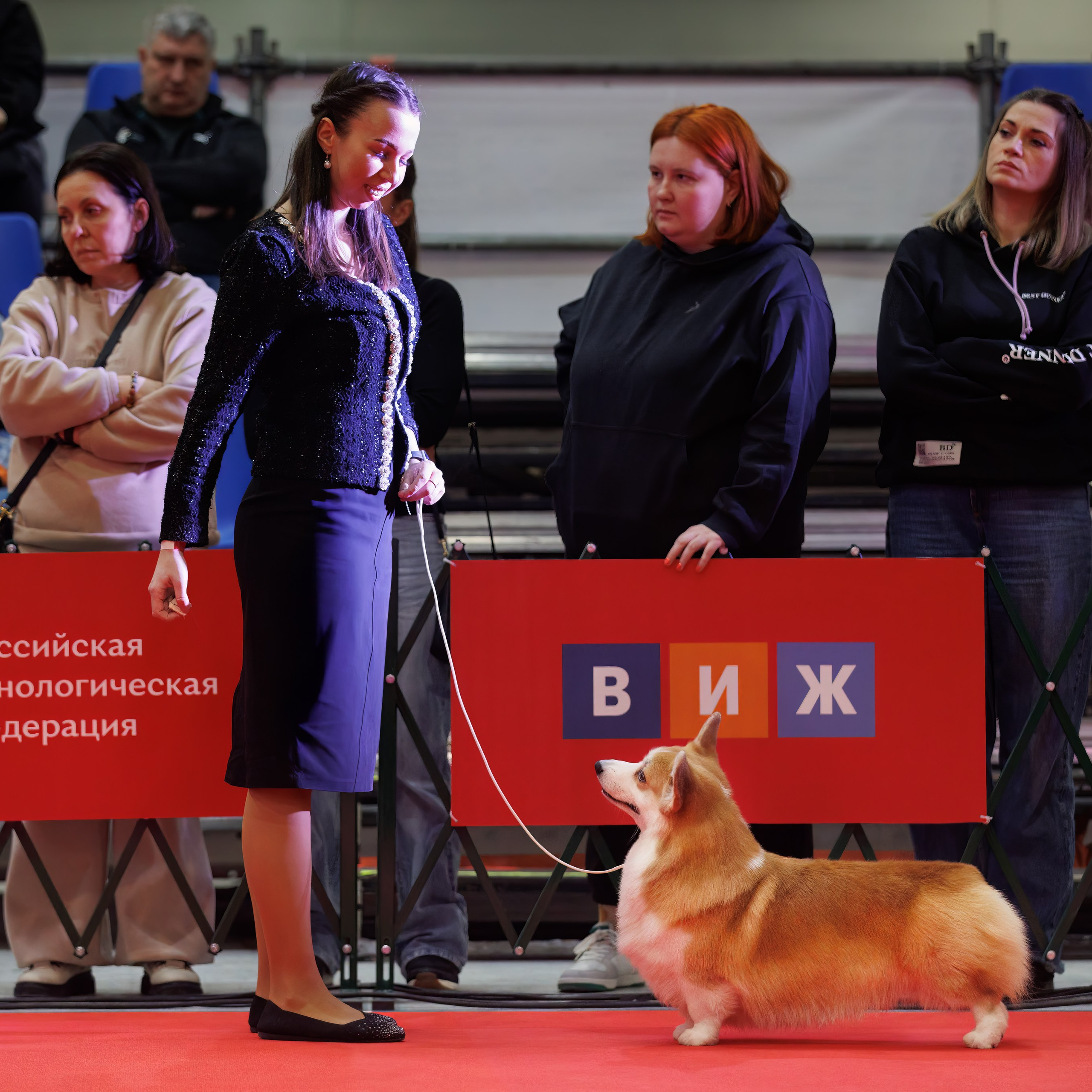 Шоу чемпионов «ЛУЧШИЕ СОБАКИ РОССИИ». ФОТОГРАФ-АНИМАЛИСТ l LANA POLYAKOVA