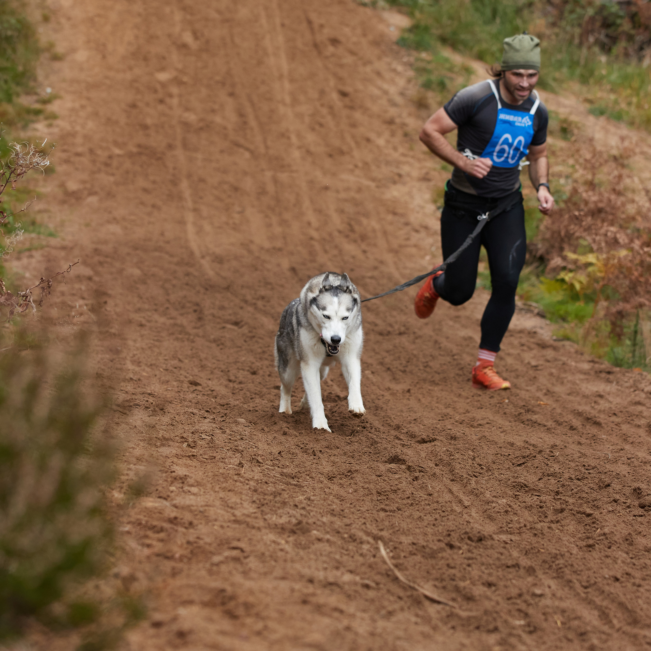 ЧЕМПИОНАТ РОССИИ РКФ 25–26 сентября 2021 г. ФОТОГРАФ-АНИМАЛИСТ l LANA POLYAKOVA