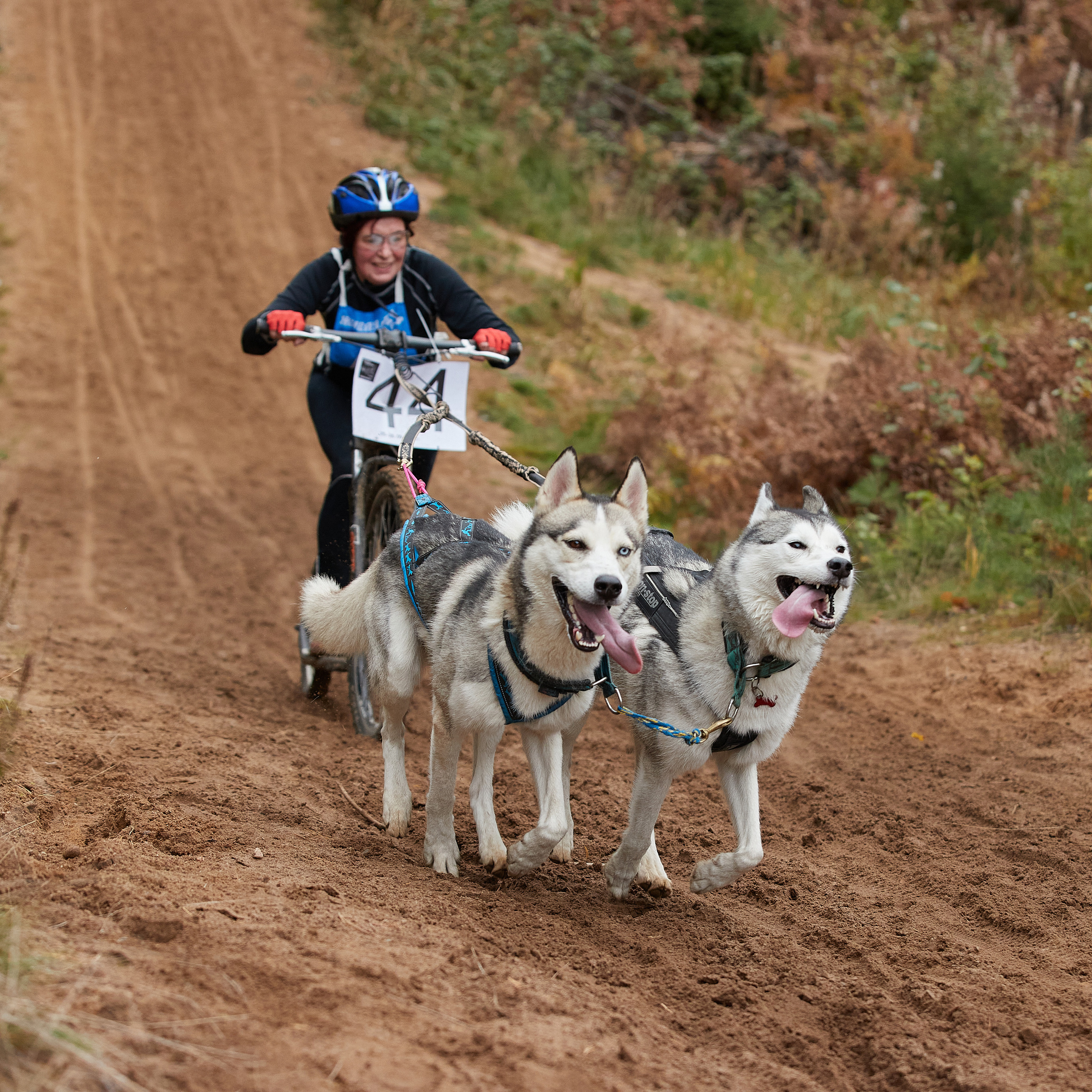 ЧЕМПИОНАТ РОССИИ РКФ 25–26 сентября 2021 г. ФОТОГРАФ-АНИМАЛИСТ l LANA POLYAKOVA