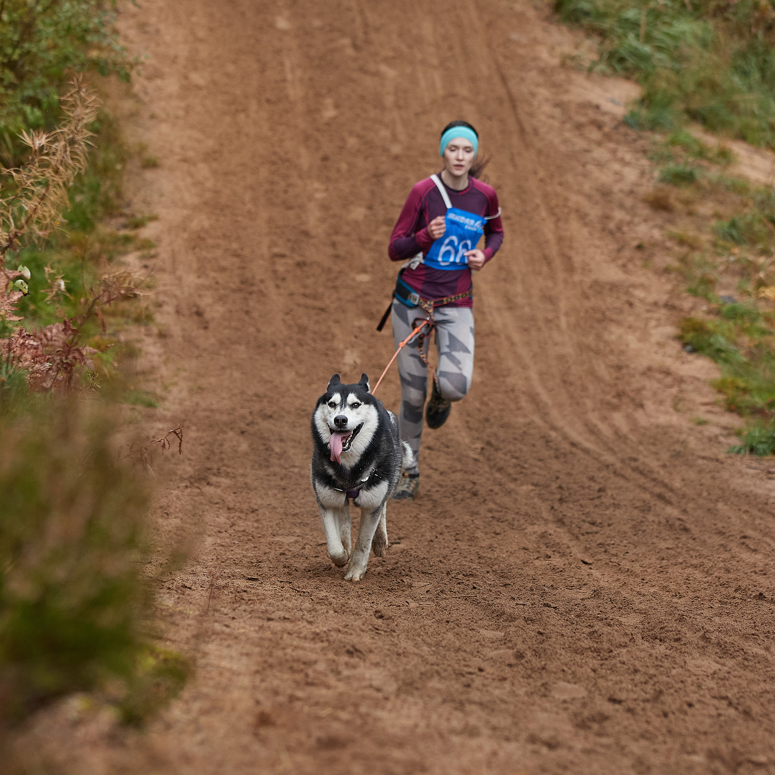 ЧЕМПИОНАТ РОССИИ РКФ 25–26 сентября 2021 г. ФОТОГРАФ-АНИМАЛИСТ l LANA POLYAKOVA
