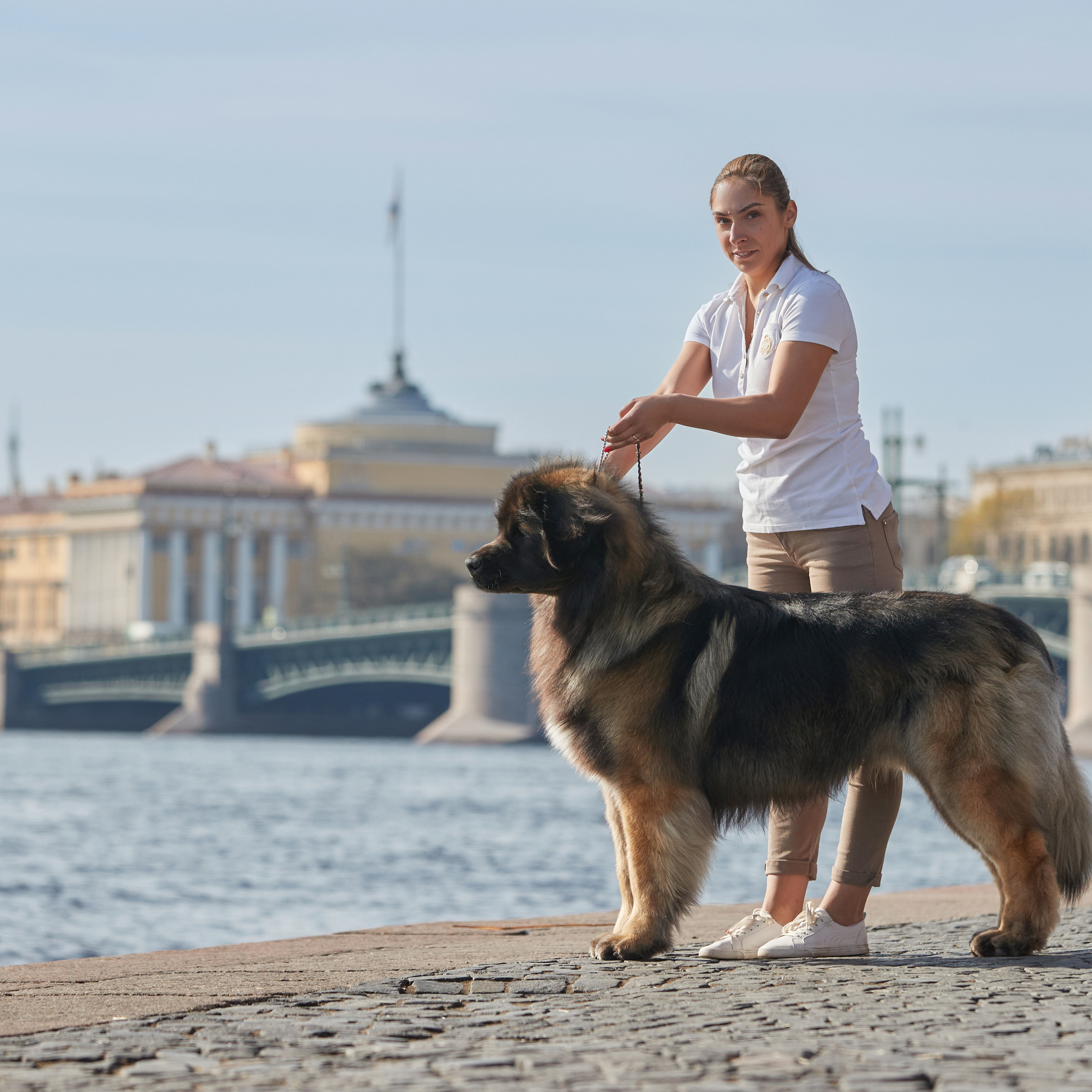 Леонбергеры в Санкт-Петербурге. ФОТОГРАФ-АНИМАЛИСТ l LANA POLYAKOVA