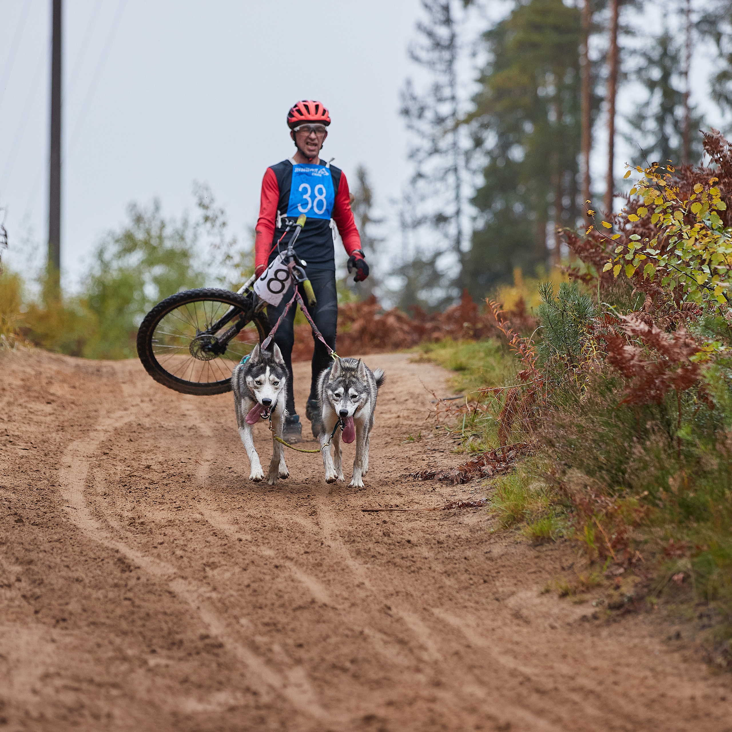 ЧЕМПИОНАТ РОССИИ РКФ 25–26 сентября 2021 г. ФОТОГРАФ-АНИМАЛИСТ l LANA POLYAKOVA