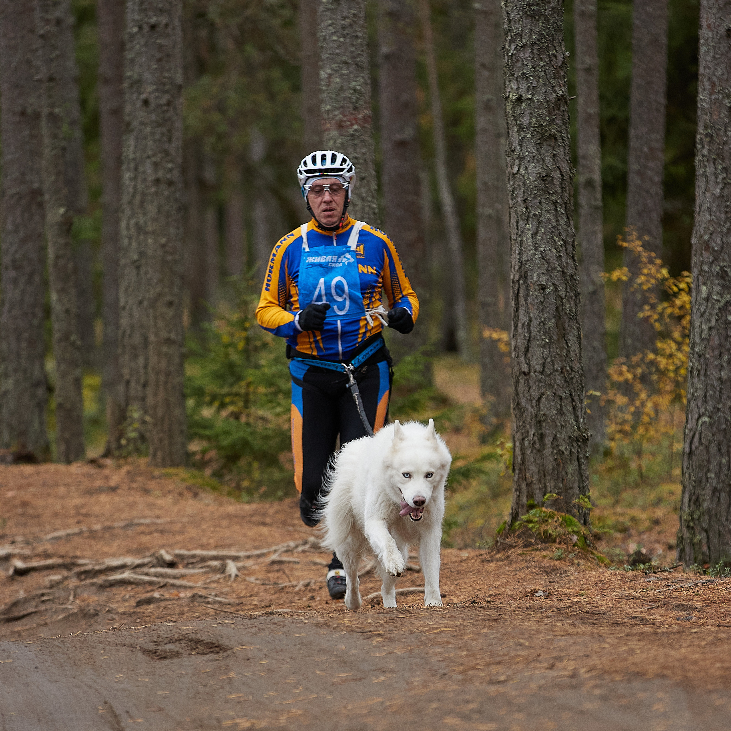 ЧЕМПИОНАТ РОССИИ РКФ 25–26 сентября 2021 г. ФОТОГРАФ-АНИМАЛИСТ l LANA POLYAKOVA