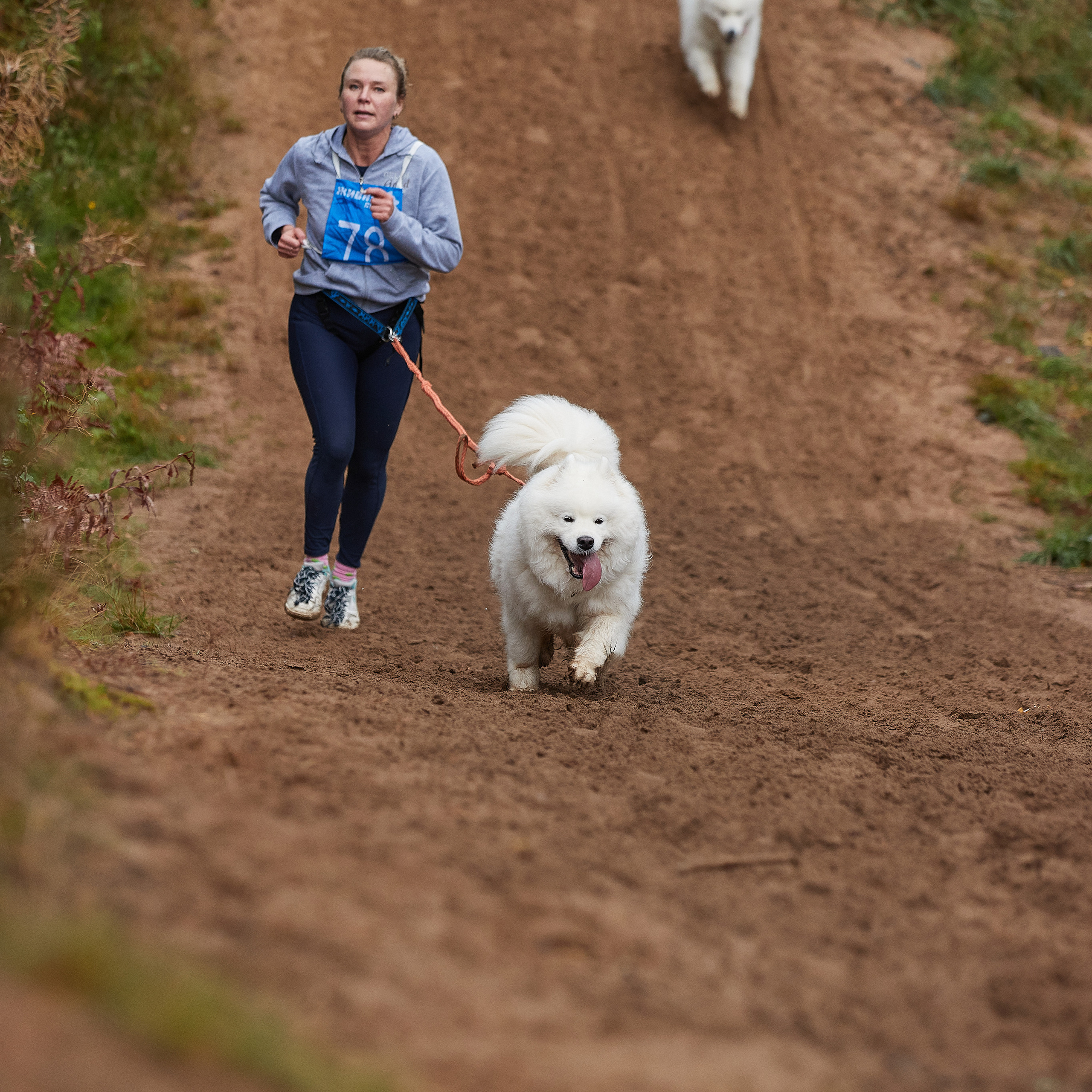 ЧЕМПИОНАТ РОССИИ РКФ 25–26 сентября 2021 г. ФОТОГРАФ-АНИМАЛИСТ l LANA POLYAKOVA