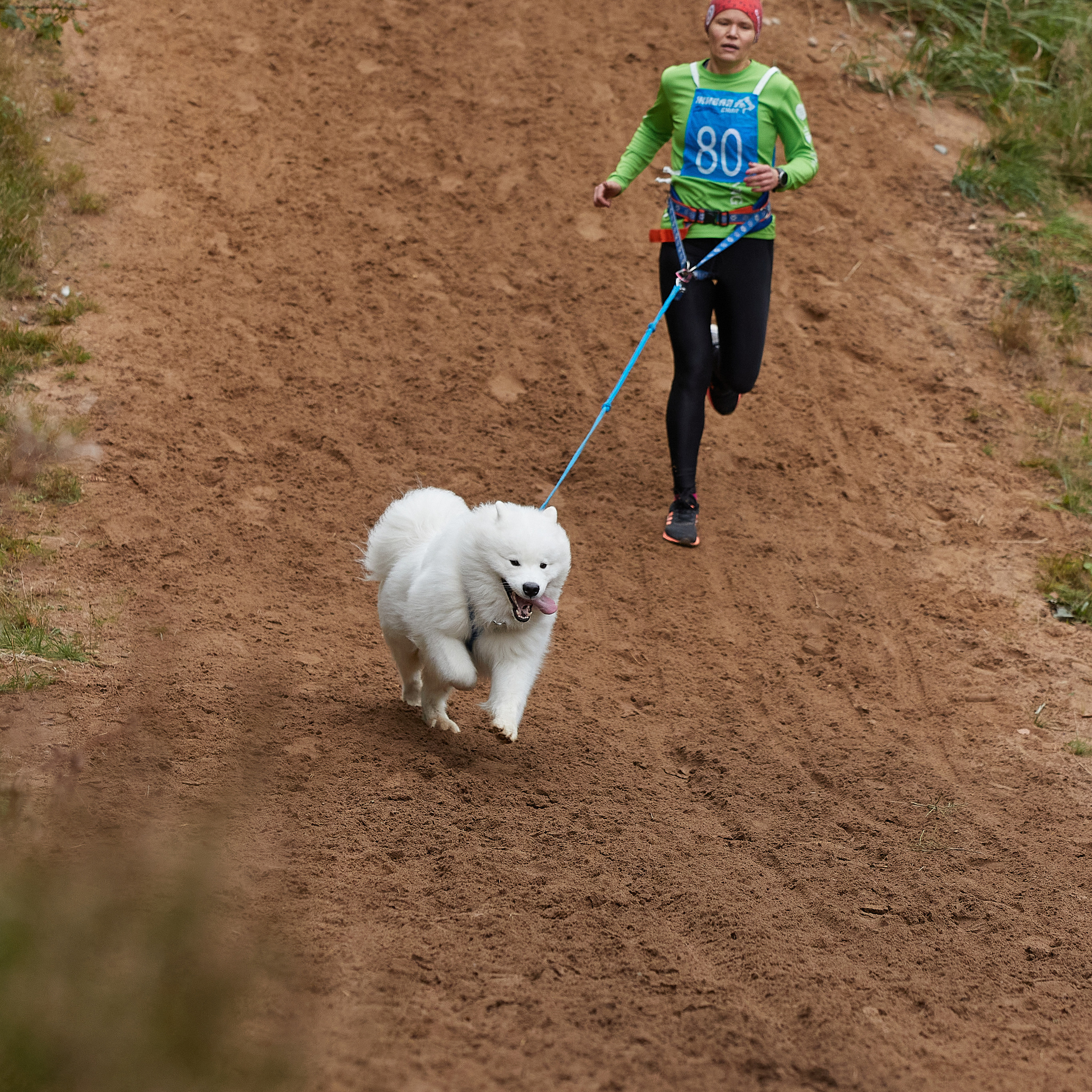 ЧЕМПИОНАТ РОССИИ РКФ 25–26 сентября 2021 г. ФОТОГРАФ-АНИМАЛИСТ l LANA POLYAKOVA