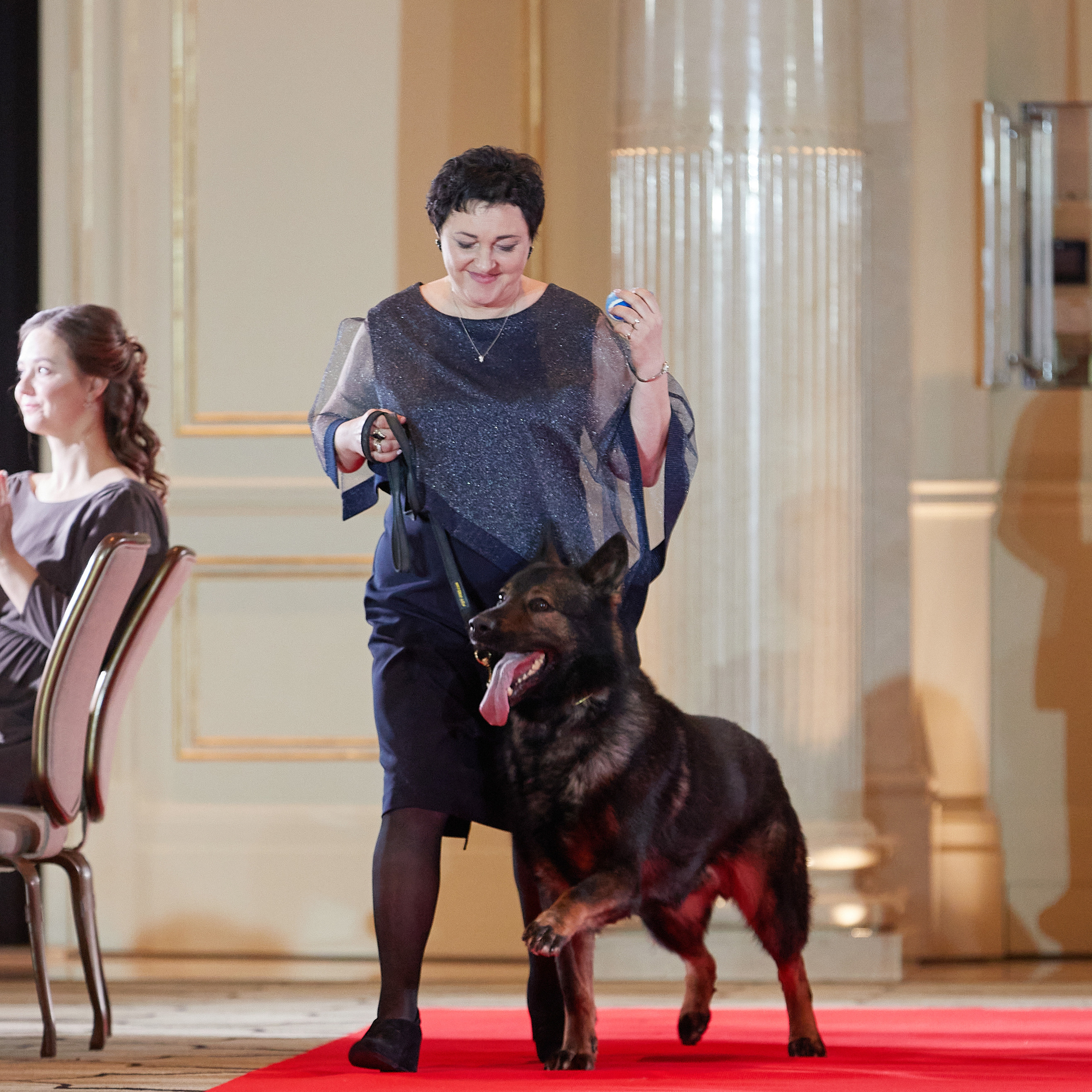 Репортаж с церемонии «BEST RUSSIAN DOG 2022». ФОТОГРАФ-АНИМАЛИСТ l LANA POLYAKOVA