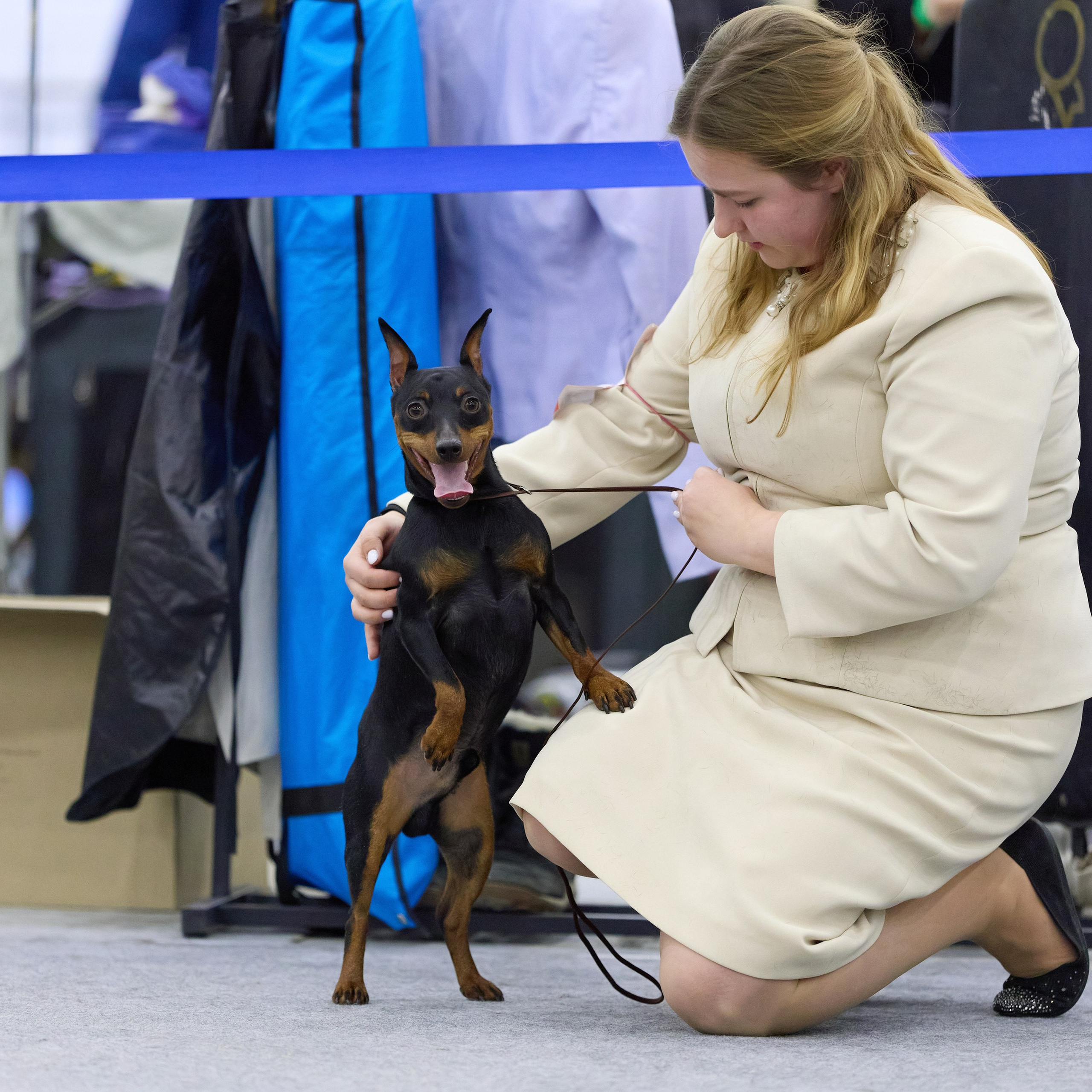 ВЫСТАВКА СОБАК С ОСОБЫМ СТАТУСОМ «НЕВСКИЙ ПОБЕДИТЕЛЬ» 12-13-14.12.2025. ФОТОГРАФ-АНИМАЛИСТ l LANA POLYAKOVA