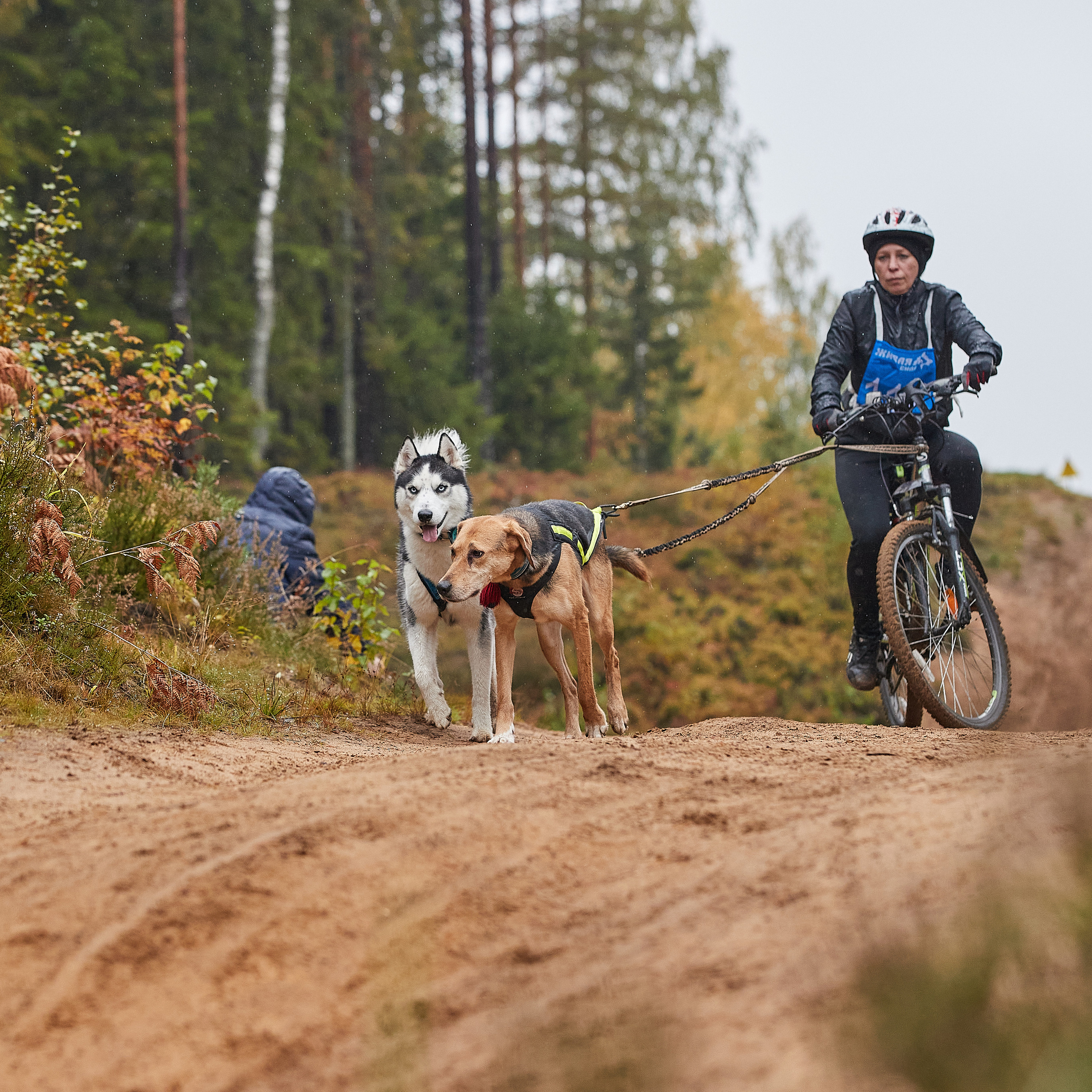 ЧЕМПИОНАТ РОССИИ РКФ 25–26 сентября 2021 г. ФОТОГРАФ-АНИМАЛИСТ l LANA POLYAKOVA