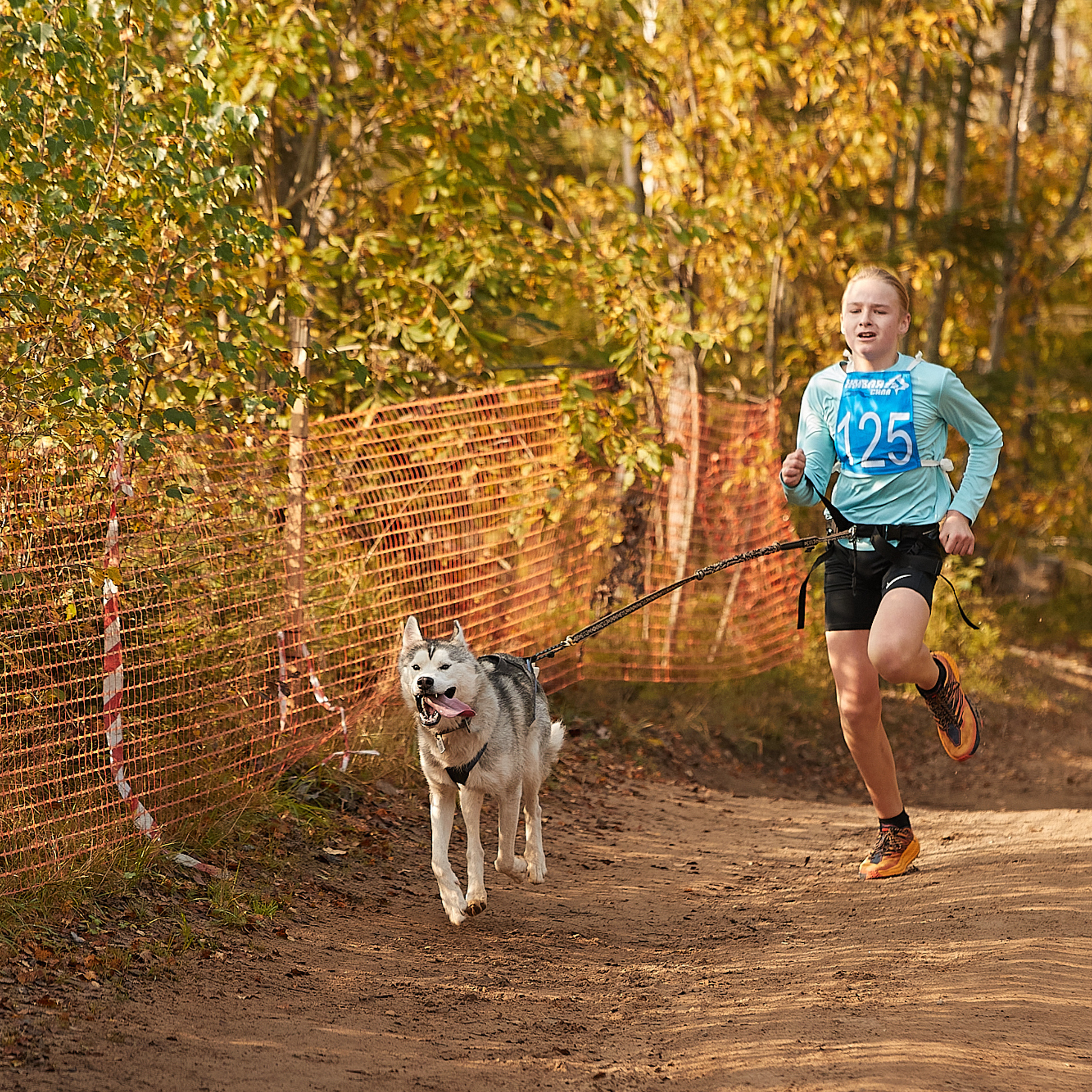 ЧЕМПИОНАТ РОССИИ РКФ 27 сентября 2020 г., 2й день. ФОТОГРАФ-АНИМАЛИСТ l LANA POLYAKOVA