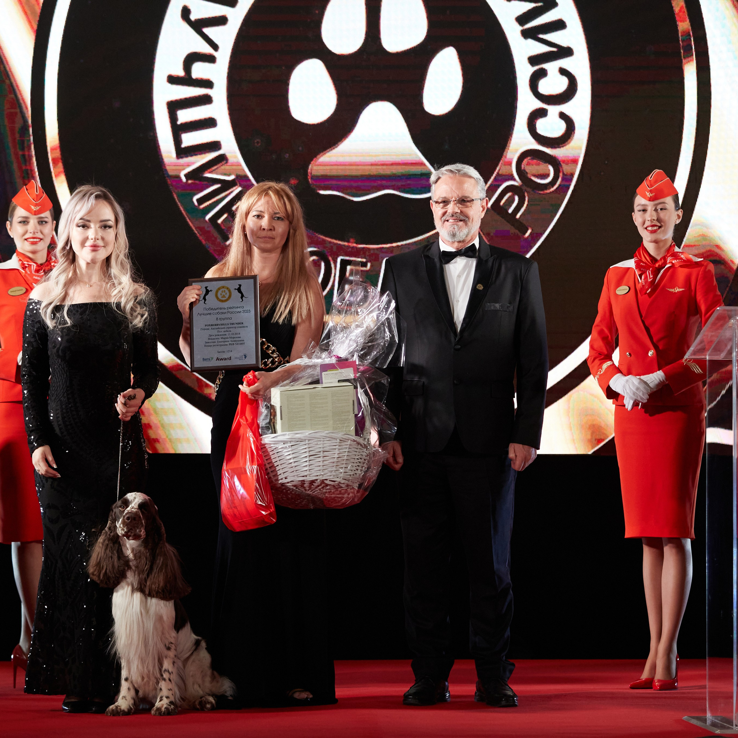 Репортаж с церемонии «BEST RUSSIAN DOG 2023». ФОТОГРАФ-АНИМАЛИСТ l LANA POLYAKOVA