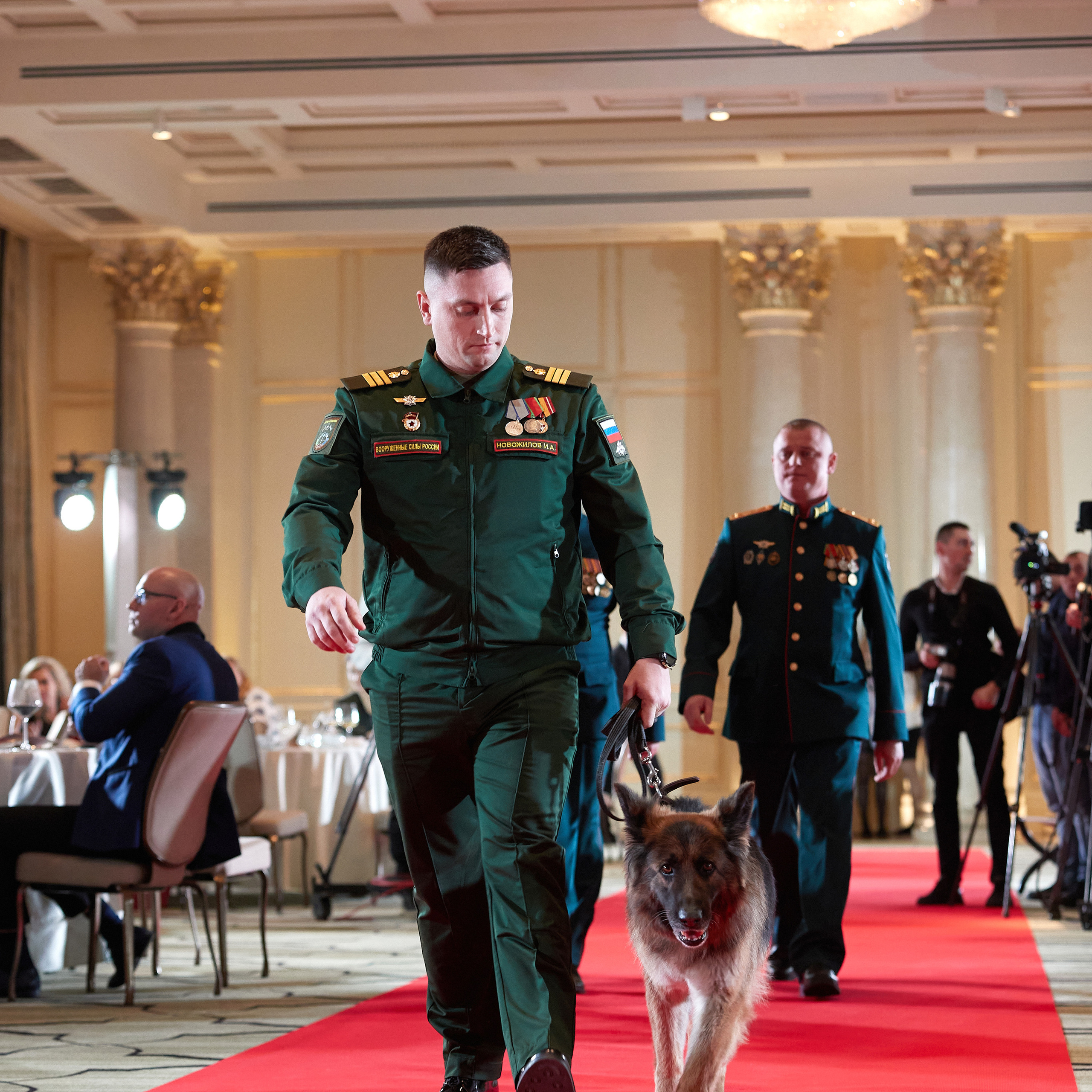 Репортаж с церемонии «BEST RUSSIAN DOG 2022». ФОТОГРАФ-АНИМАЛИСТ l LANA POLYAKOVA