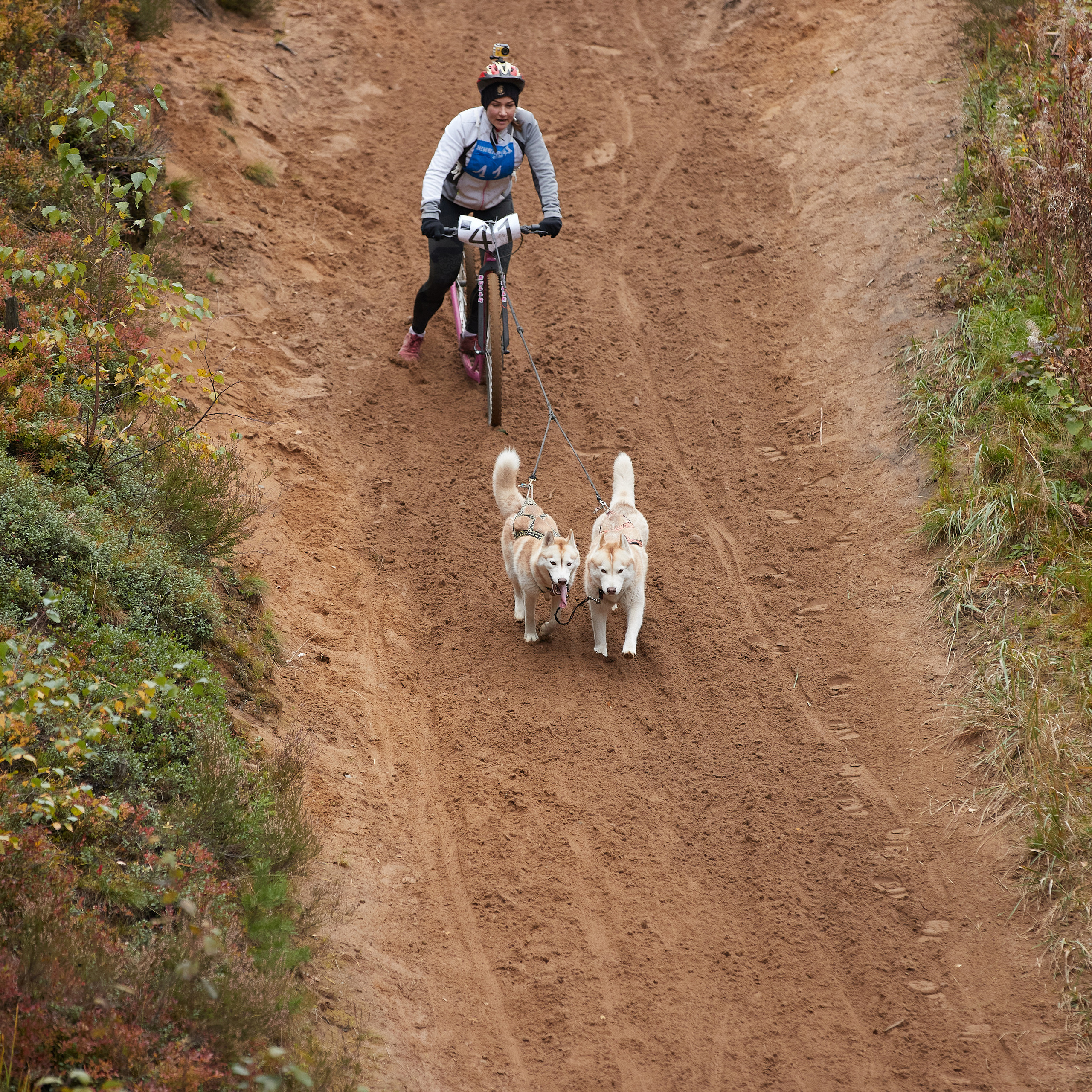 ЧЕМПИОНАТ РОССИИ РКФ 25–26 сентября 2021 г. ФОТОГРАФ-АНИМАЛИСТ l LANA POLYAKOVA