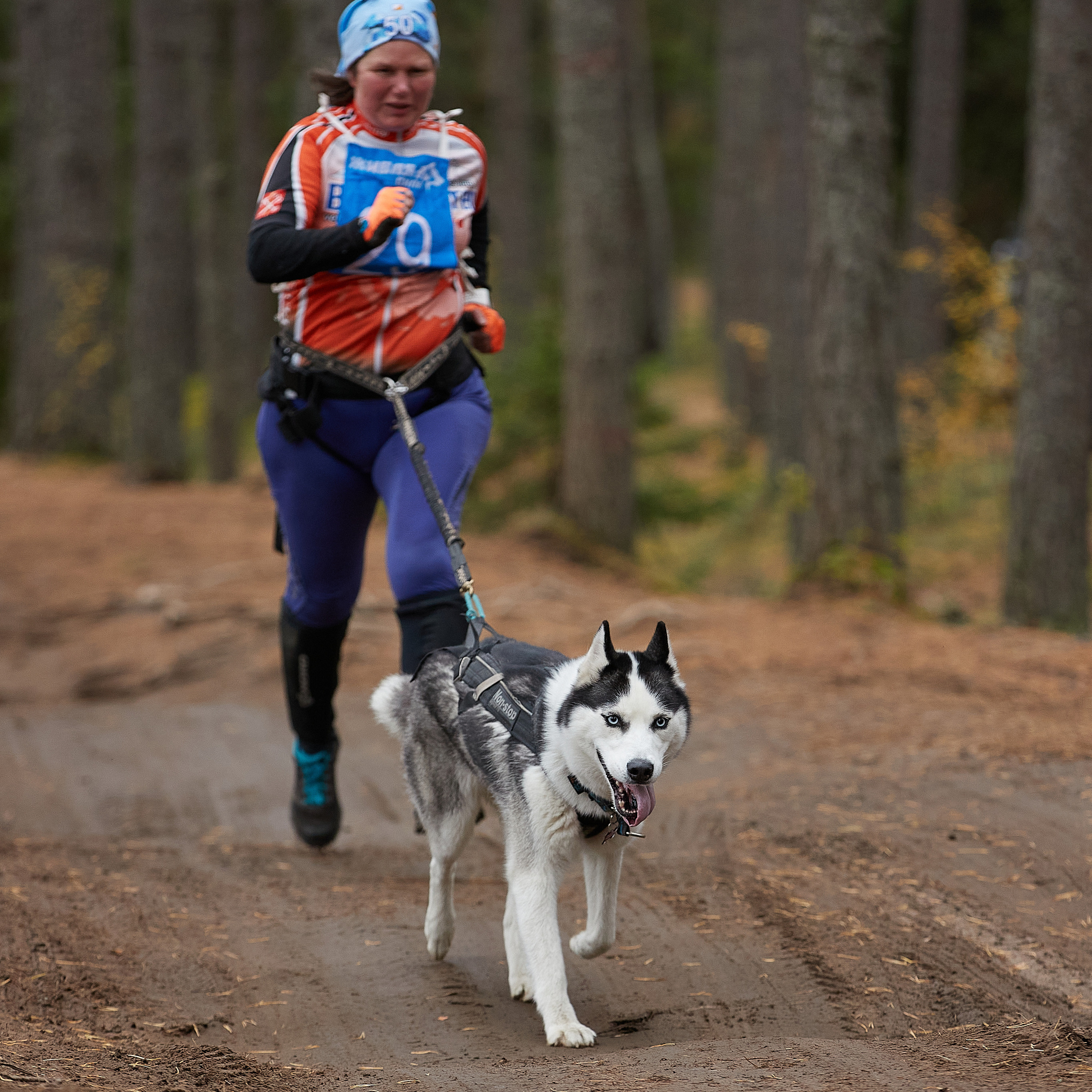 ЧЕМПИОНАТ РОССИИ РКФ 25–26 сентября 2021 г. ФОТОГРАФ-АНИМАЛИСТ l LANA POLYAKOVA