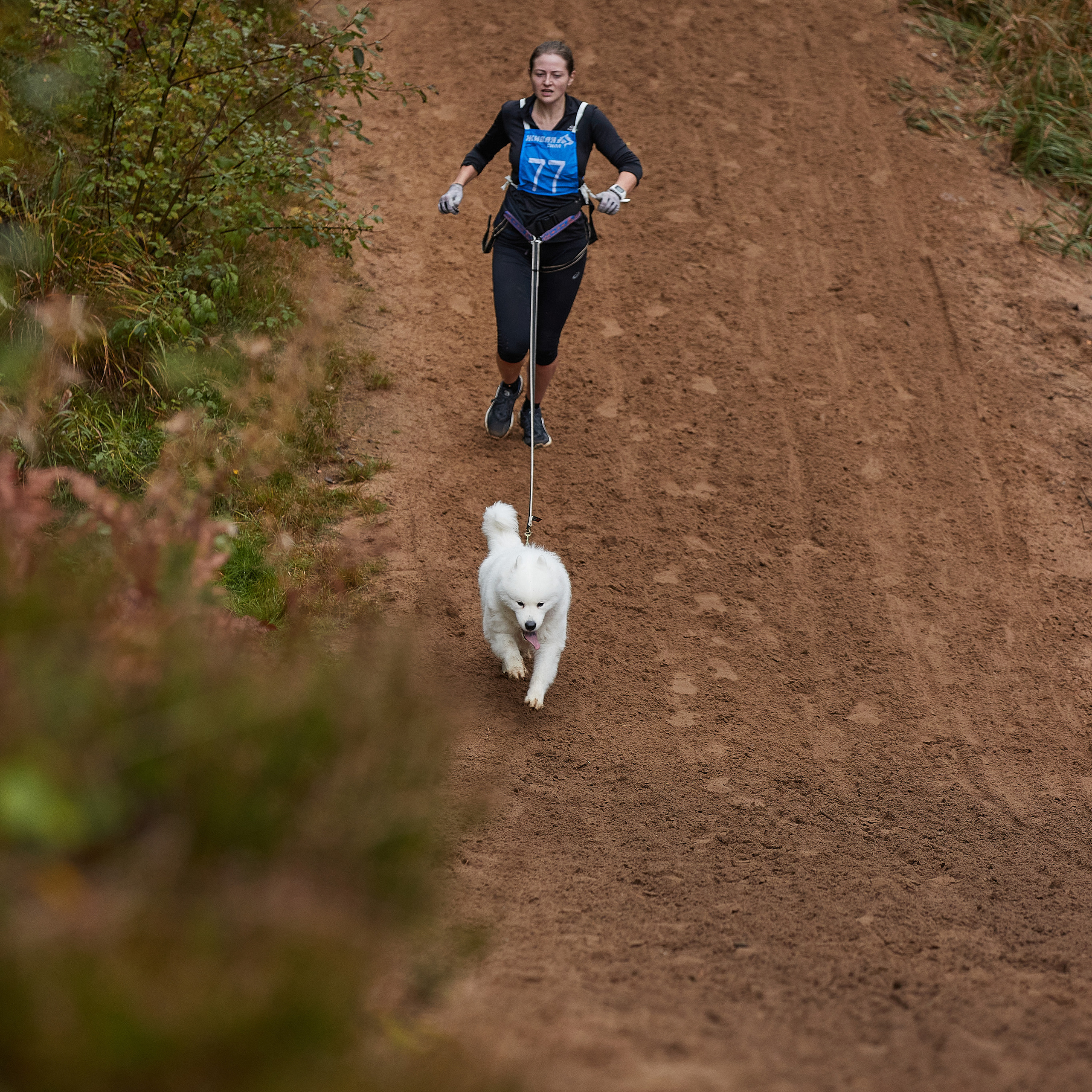 ЧЕМПИОНАТ РОССИИ РКФ 25–26 сентября 2021 г. ФОТОГРАФ-АНИМАЛИСТ l LANA POLYAKOVA