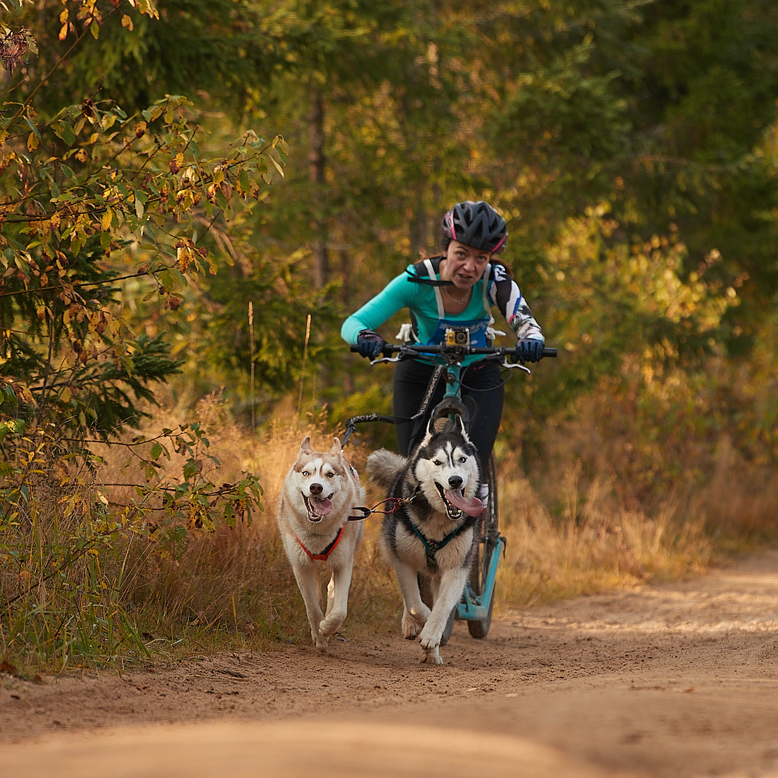 ЧЕМПИОНАТ РОССИИ РКФ 27 сентября 2020 г., 2й день. ФОТОГРАФ-АНИМАЛИСТ l LANA POLYAKOVA