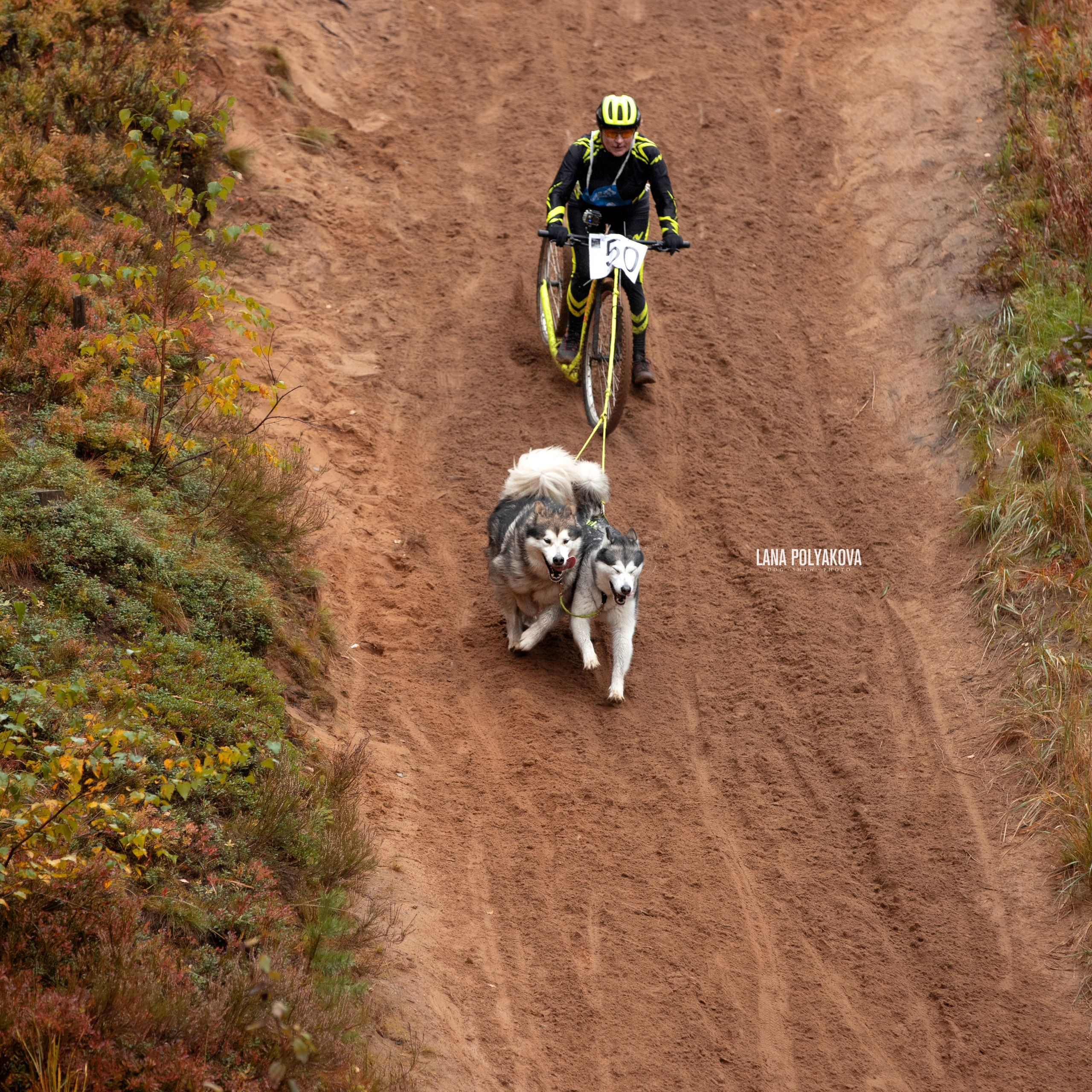 ЧЕМПИОНАТ РОССИИ РКФ 25–26 сентября 2021 г. ФОТОГРАФ-АНИМАЛИСТ l LANA POLYAKOVA