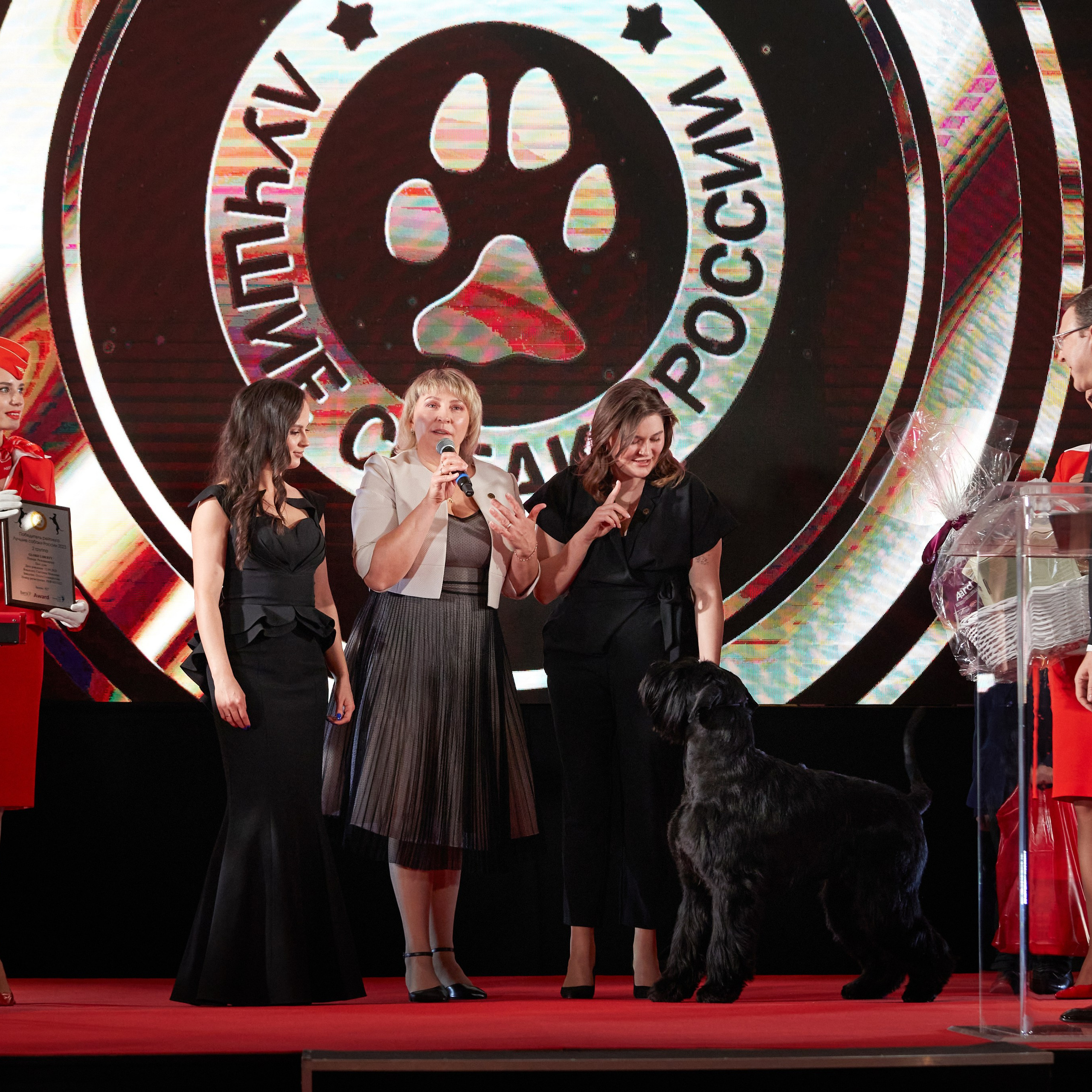 Репортаж с церемонии «BEST RUSSIAN DOG 2023». ФОТОГРАФ-АНИМАЛИСТ l LANA POLYAKOVA