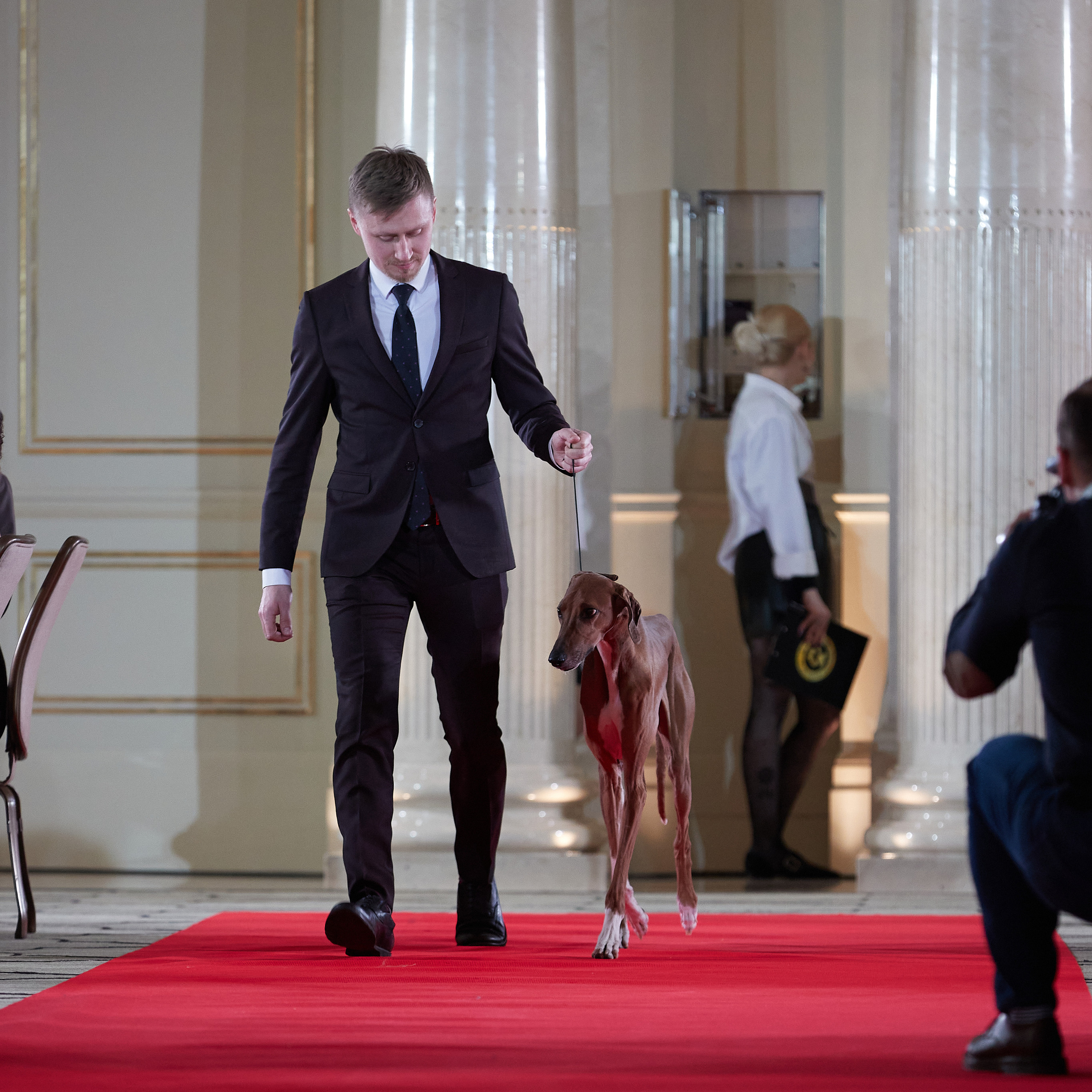 Репортаж с церемонии «BEST RUSSIAN DOG 2022». ФОТОГРАФ-АНИМАЛИСТ l LANA POLYAKOVA