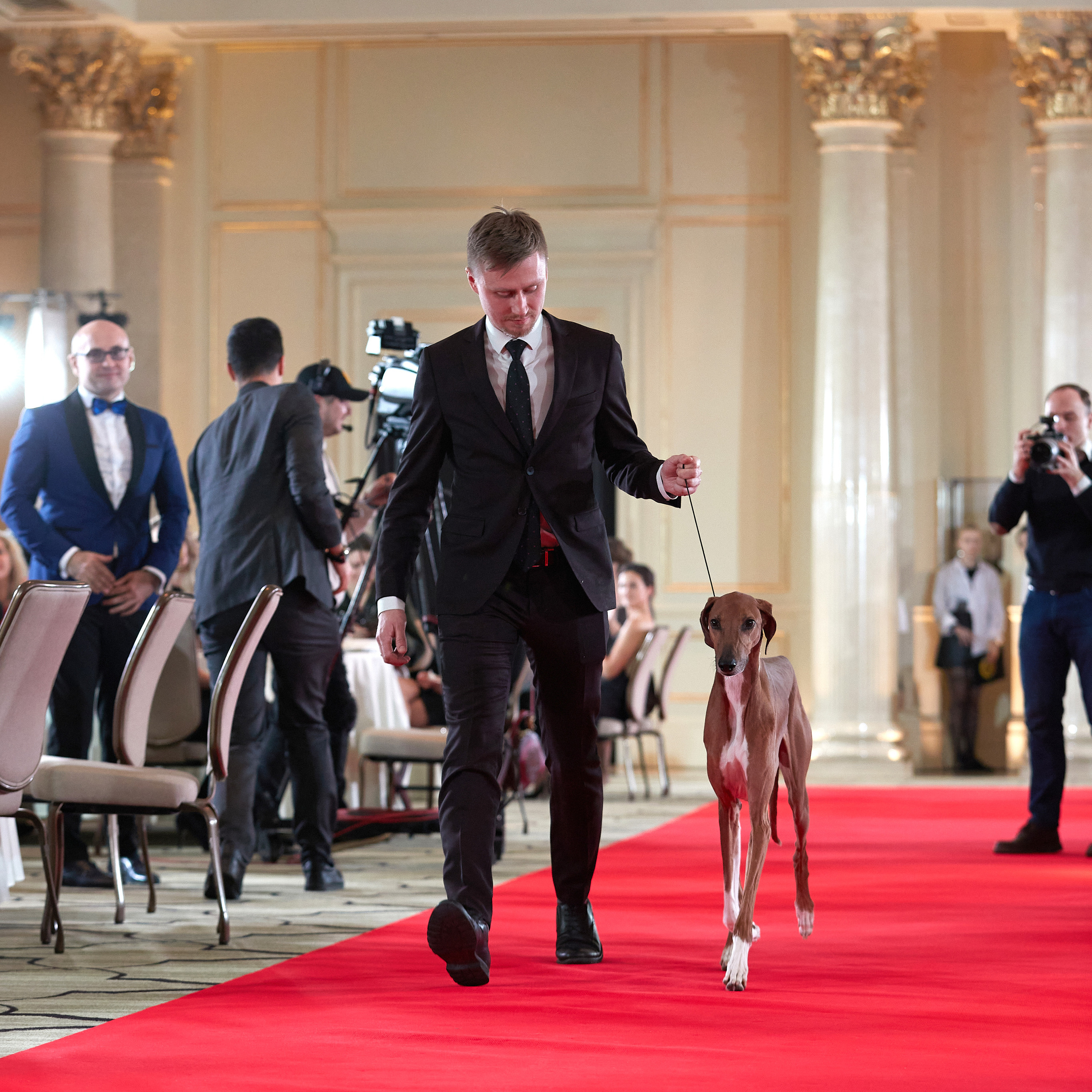 Репортаж с церемонии «BEST RUSSIAN DOG 2022». ФОТОГРАФ-АНИМАЛИСТ l LANA POLYAKOVA