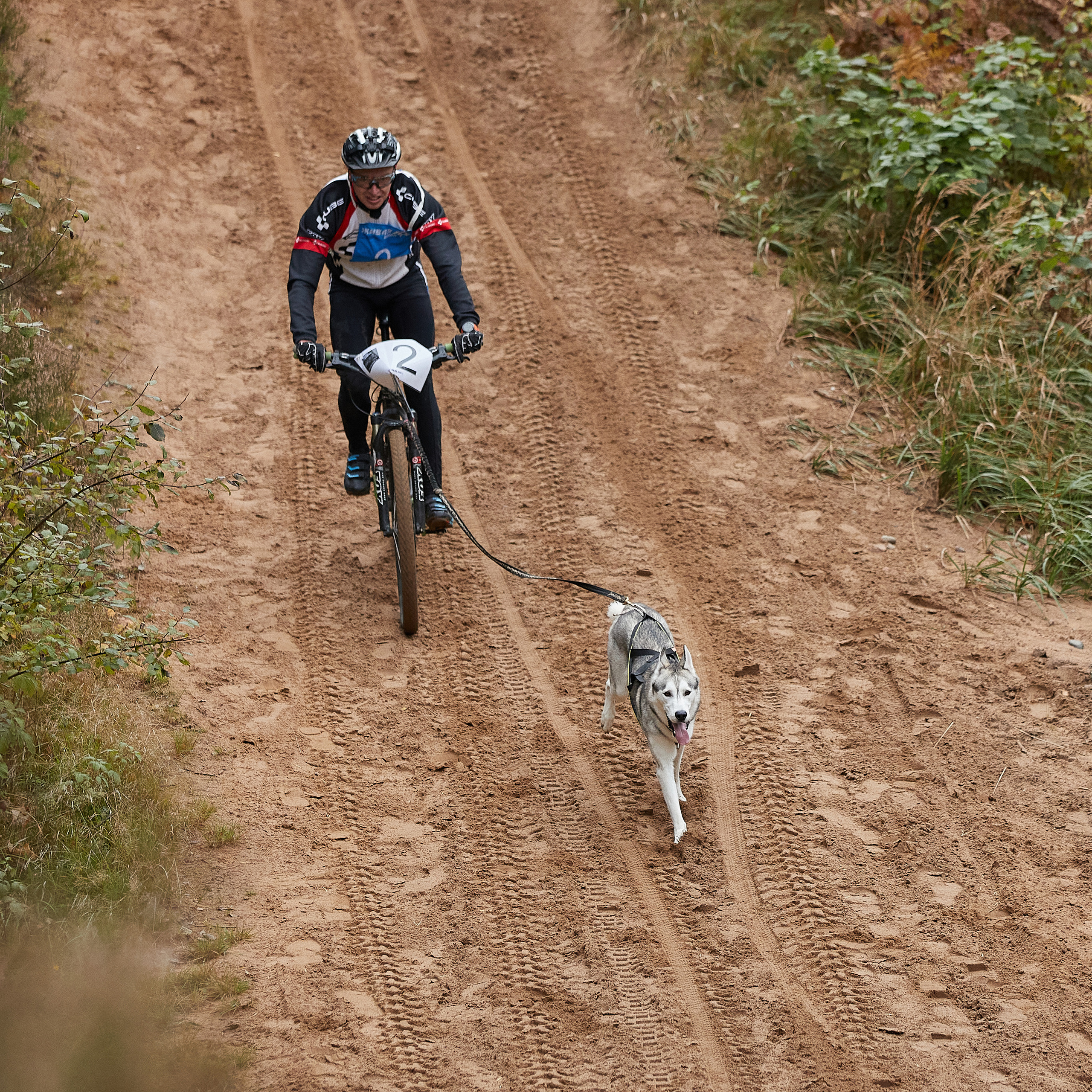 ЧЕМПИОНАТ РОССИИ РКФ 25–26 сентября 2021 г. ФОТОГРАФ-АНИМАЛИСТ l LANA POLYAKOVA