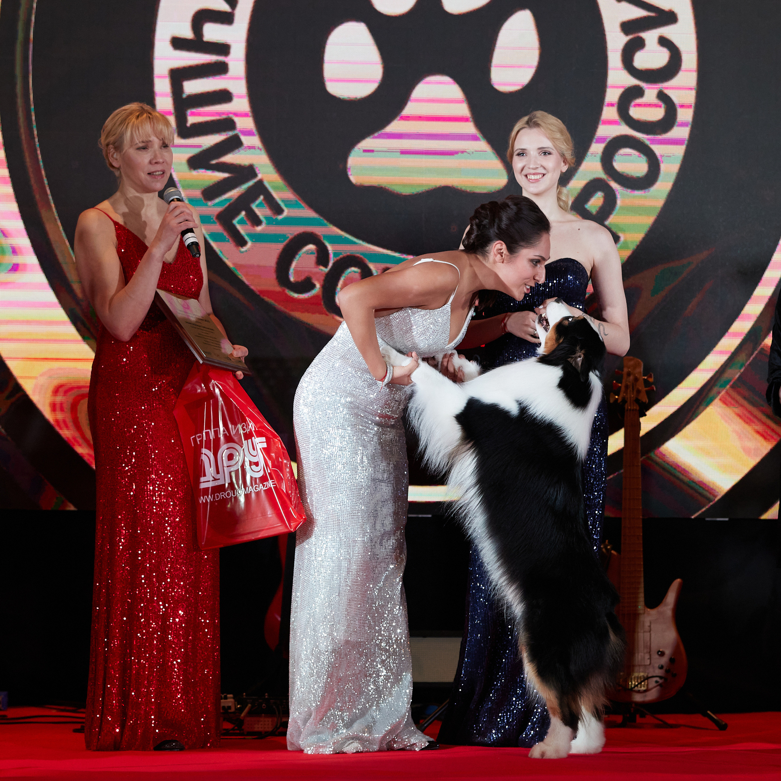 Репортаж с церемонии «BEST RUSSIAN DOG 2022». ФОТОГРАФ-АНИМАЛИСТ l LANA POLYAKOVA