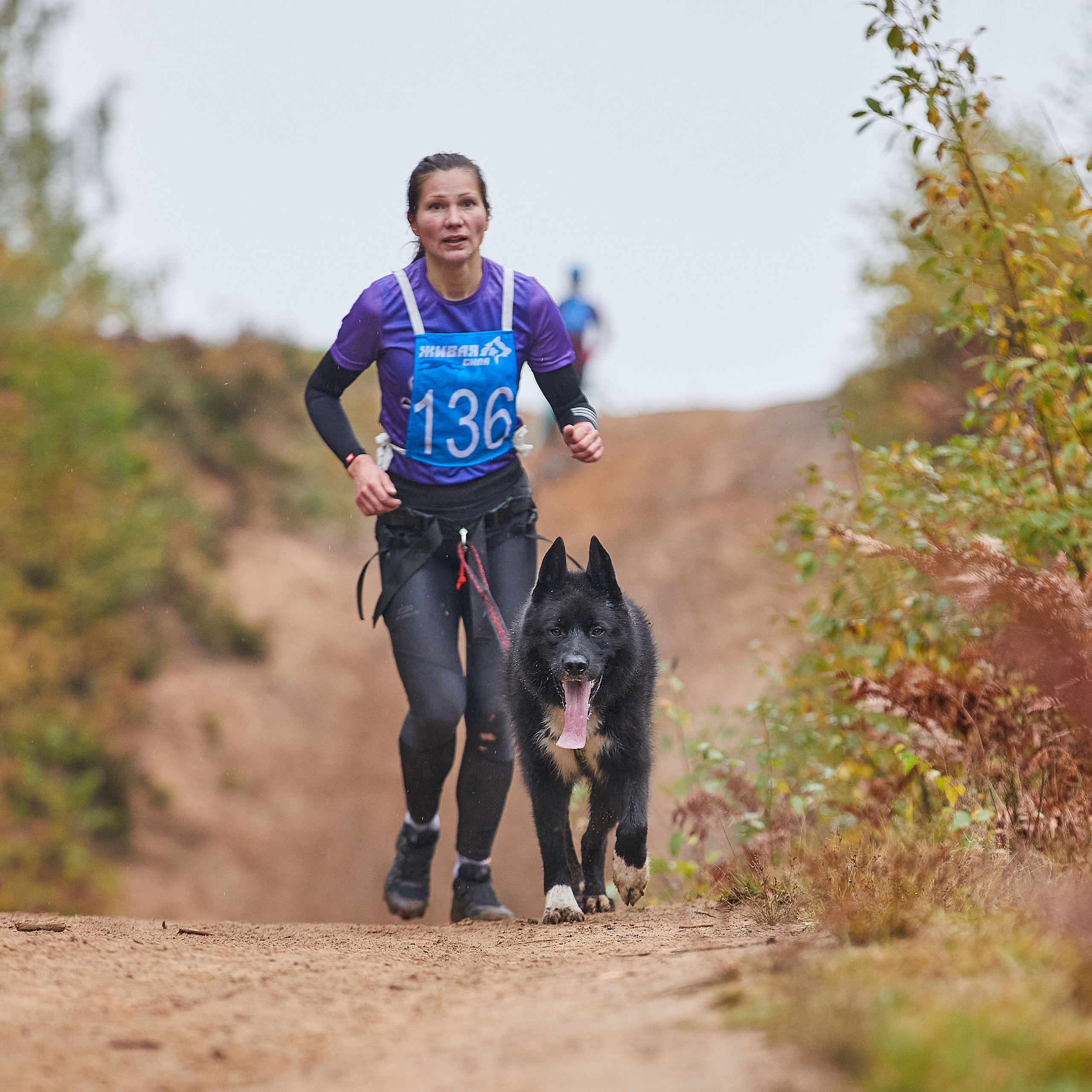 ЧЕМПИОНАТ РОССИИ РКФ 25–26 сентября 2021 г. ФОТОГРАФ-АНИМАЛИСТ l LANA POLYAKOVA
