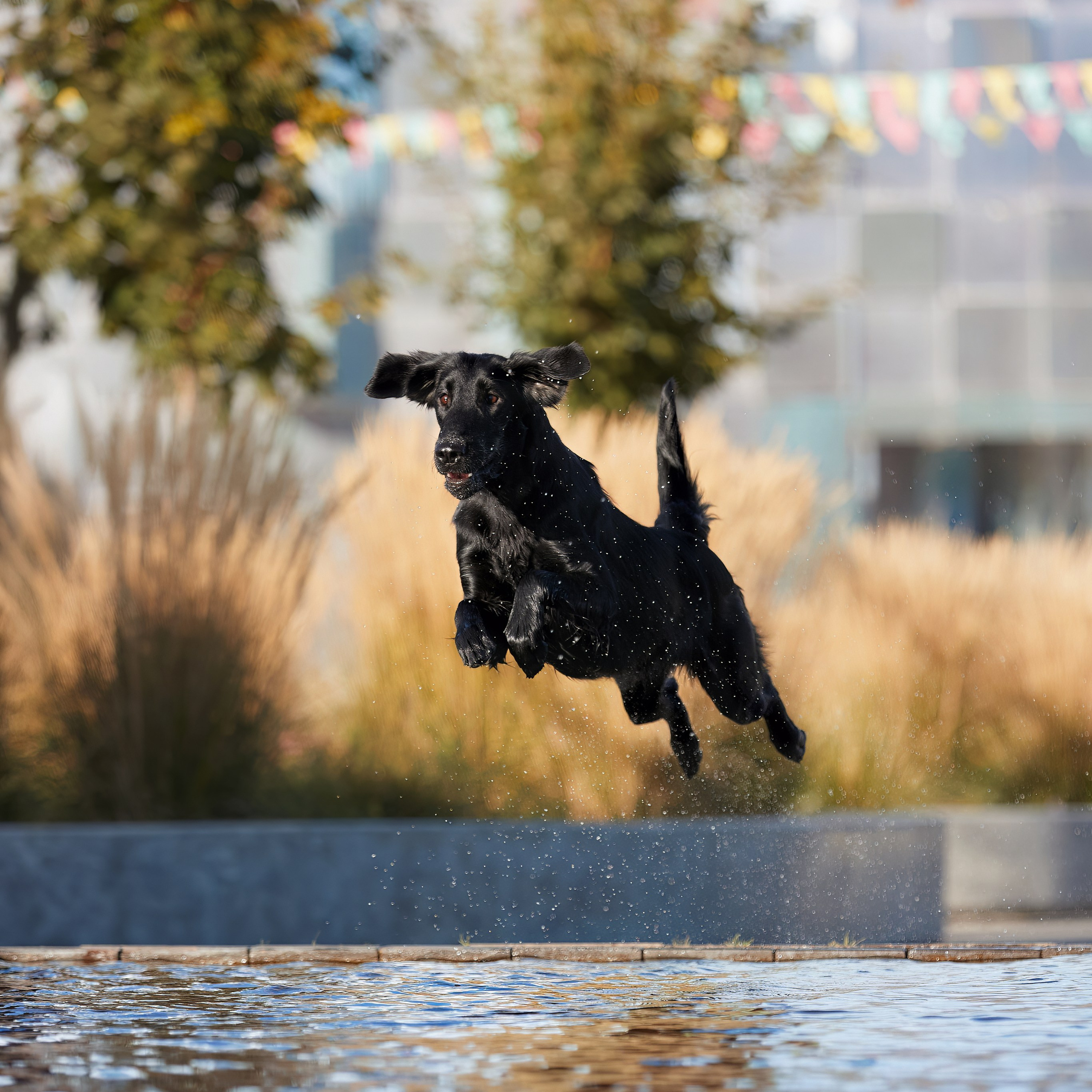 «СЕЗОН В НИЖНЕМ» НИЖНИЙ НОВГОРОД-2024. ФОТОГРАФ-АНИМАЛИСТ l LANA POLYAKOVA