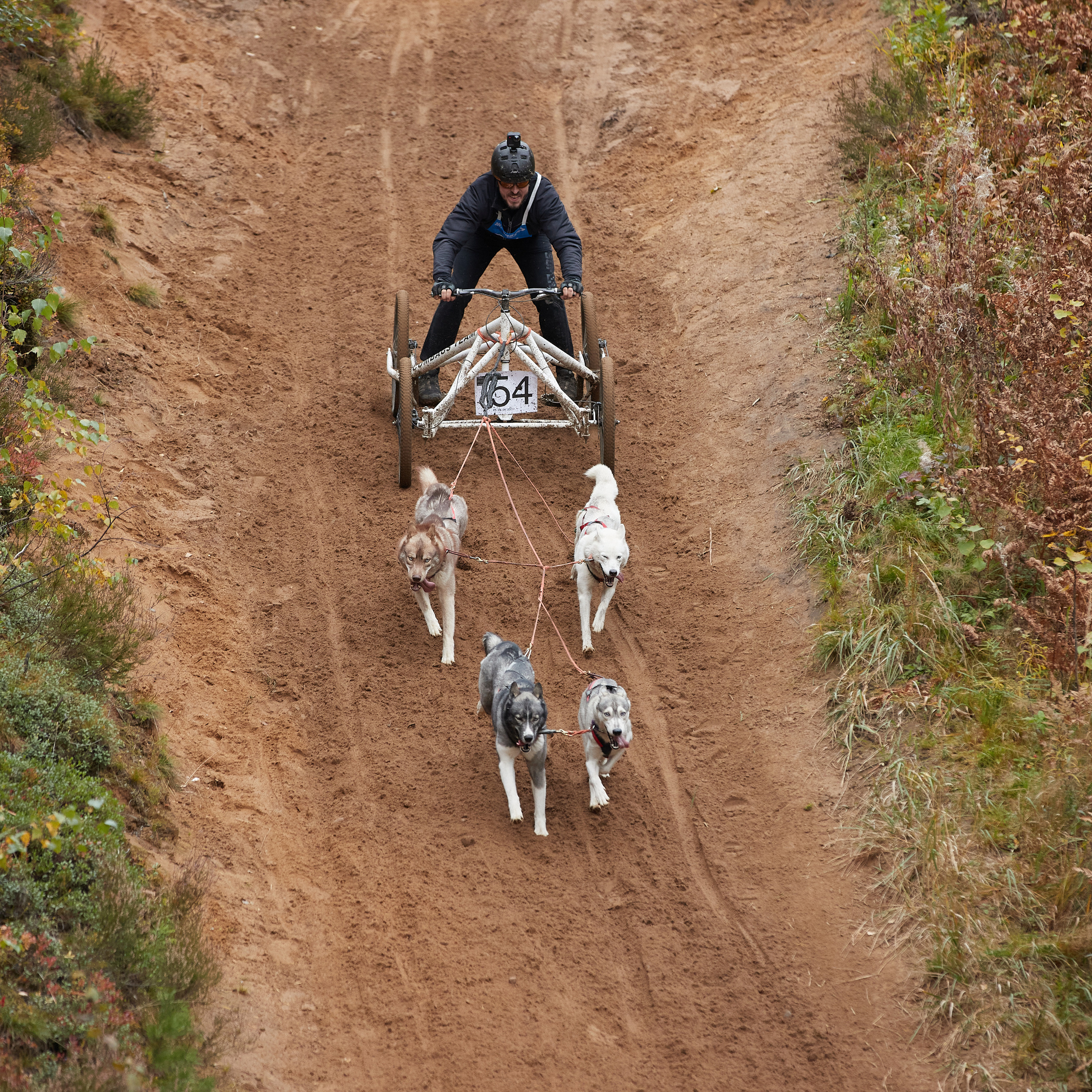 ЧЕМПИОНАТ РОССИИ РКФ 25–26 сентября 2021 г. ФОТОГРАФ-АНИМАЛИСТ l LANA POLYAKOVA
