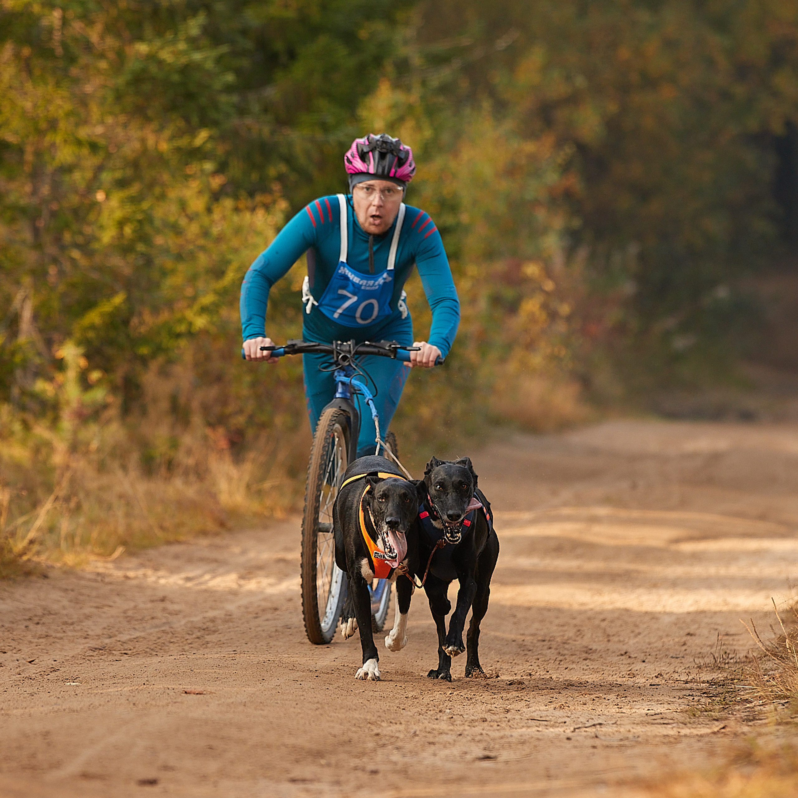 ЧЕМПИОНАТ РОССИИ РКФ 27 сентября 2020 г., 2й день. ФОТОГРАФ-АНИМАЛИСТ l LANA POLYAKOVA