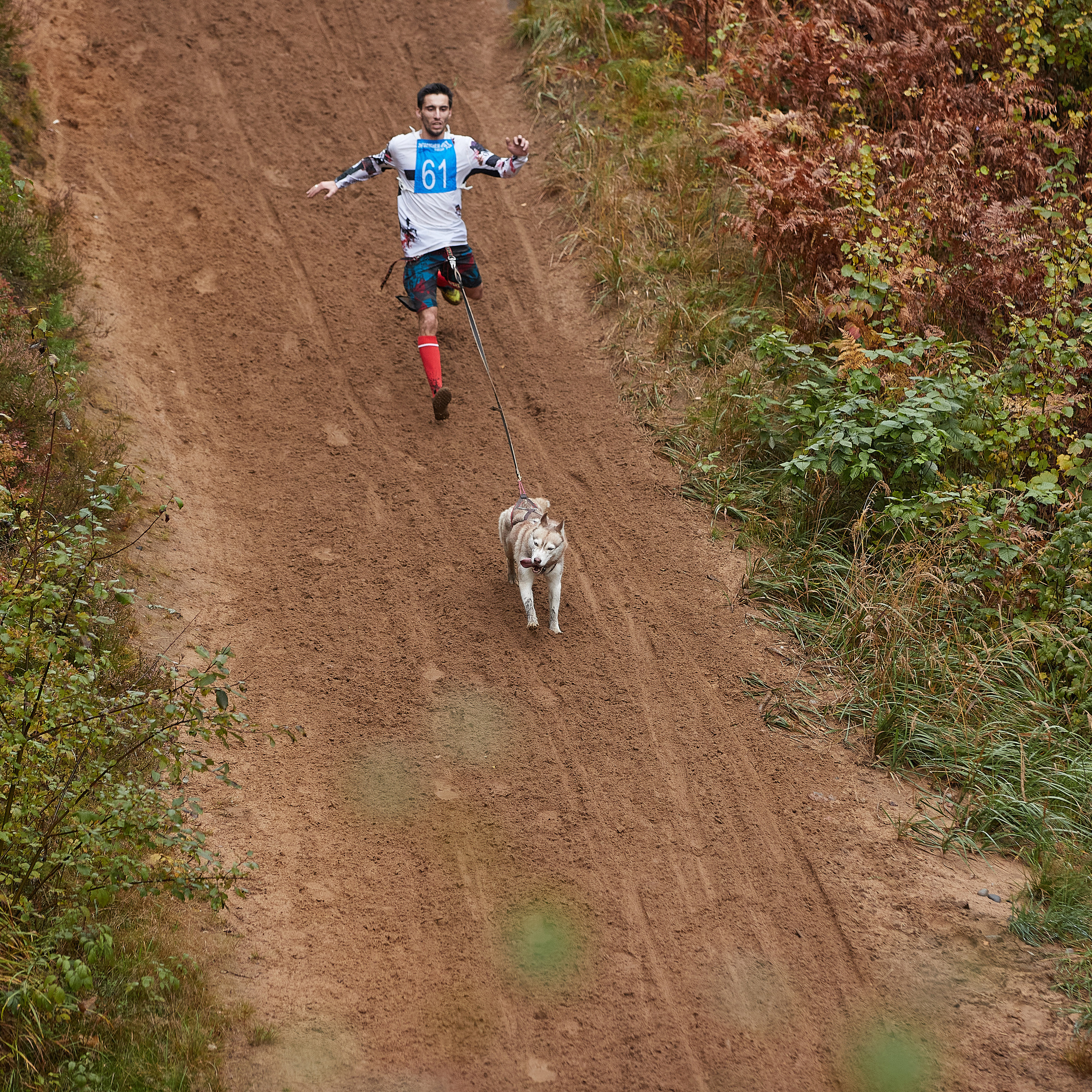 ЧЕМПИОНАТ РОССИИ РКФ 25–26 сентября 2021 г. ФОТОГРАФ-АНИМАЛИСТ l LANA POLYAKOVA