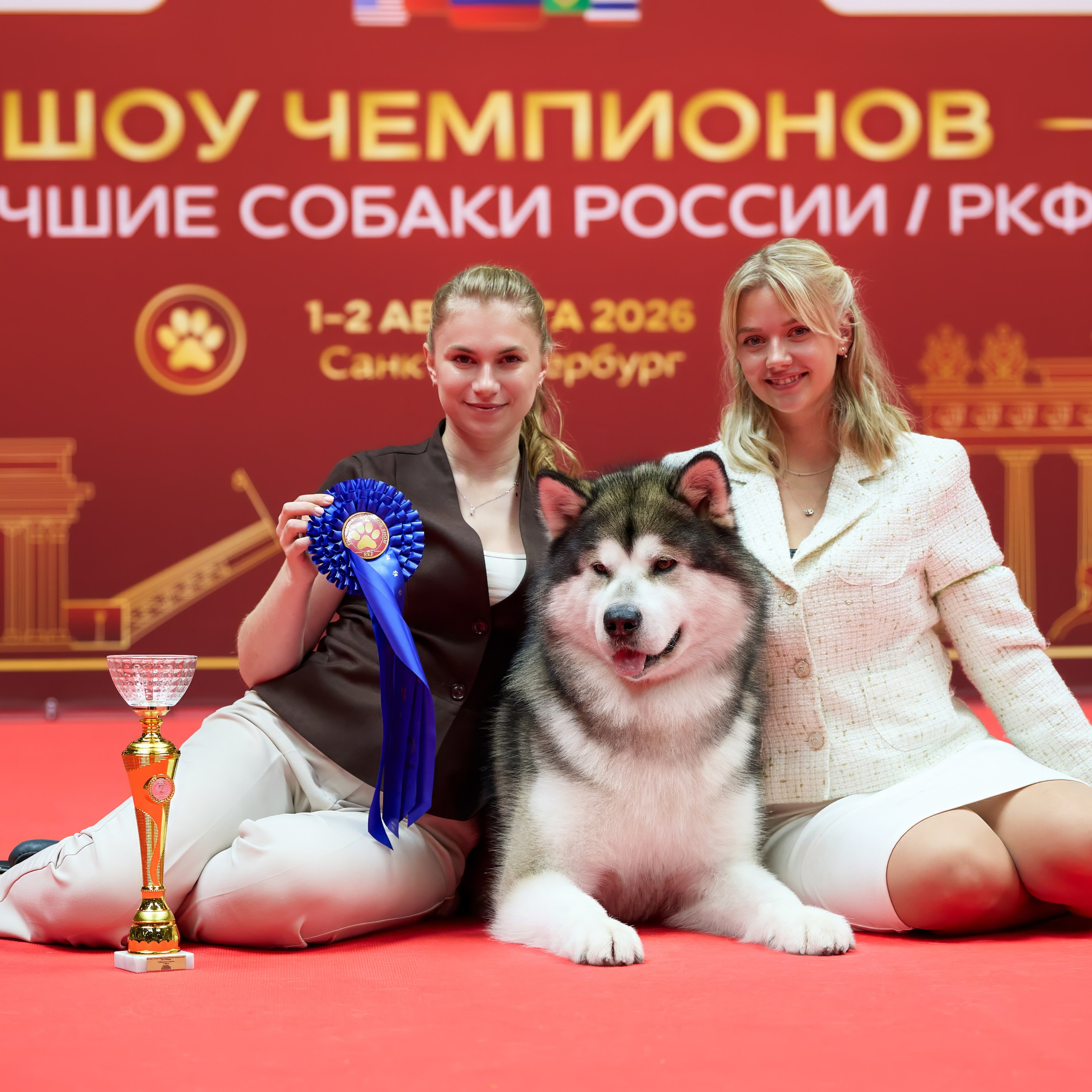 Выставка Лучшие собаки России / РКФ Санкт-Петербург. ФОТОГРАФ-АНИМАЛИСТ l LANA POLYAKOVA