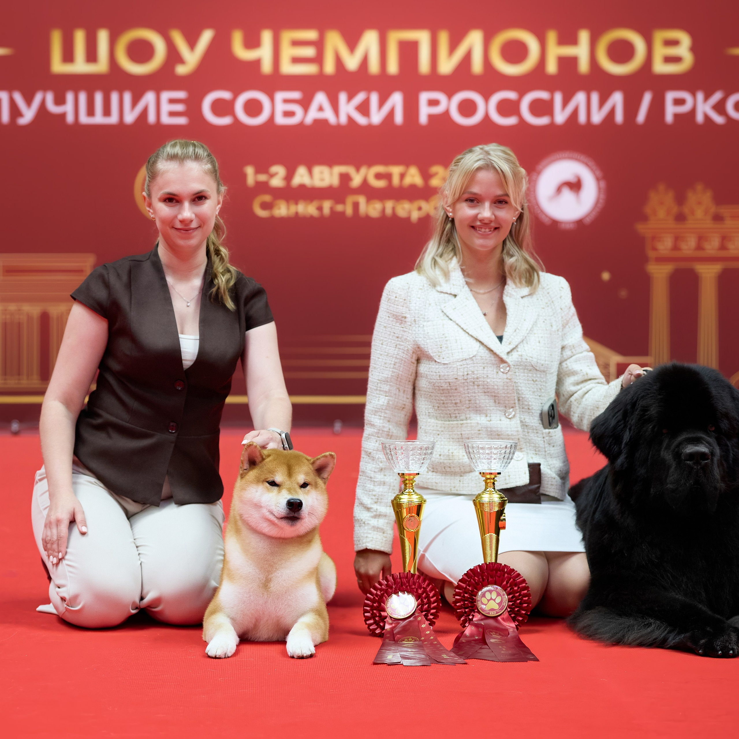 Выставка Лучшие собаки России / РКФ Санкт-Петербург. ФОТОГРАФ-АНИМАЛИСТ l LANA POLYAKOVA