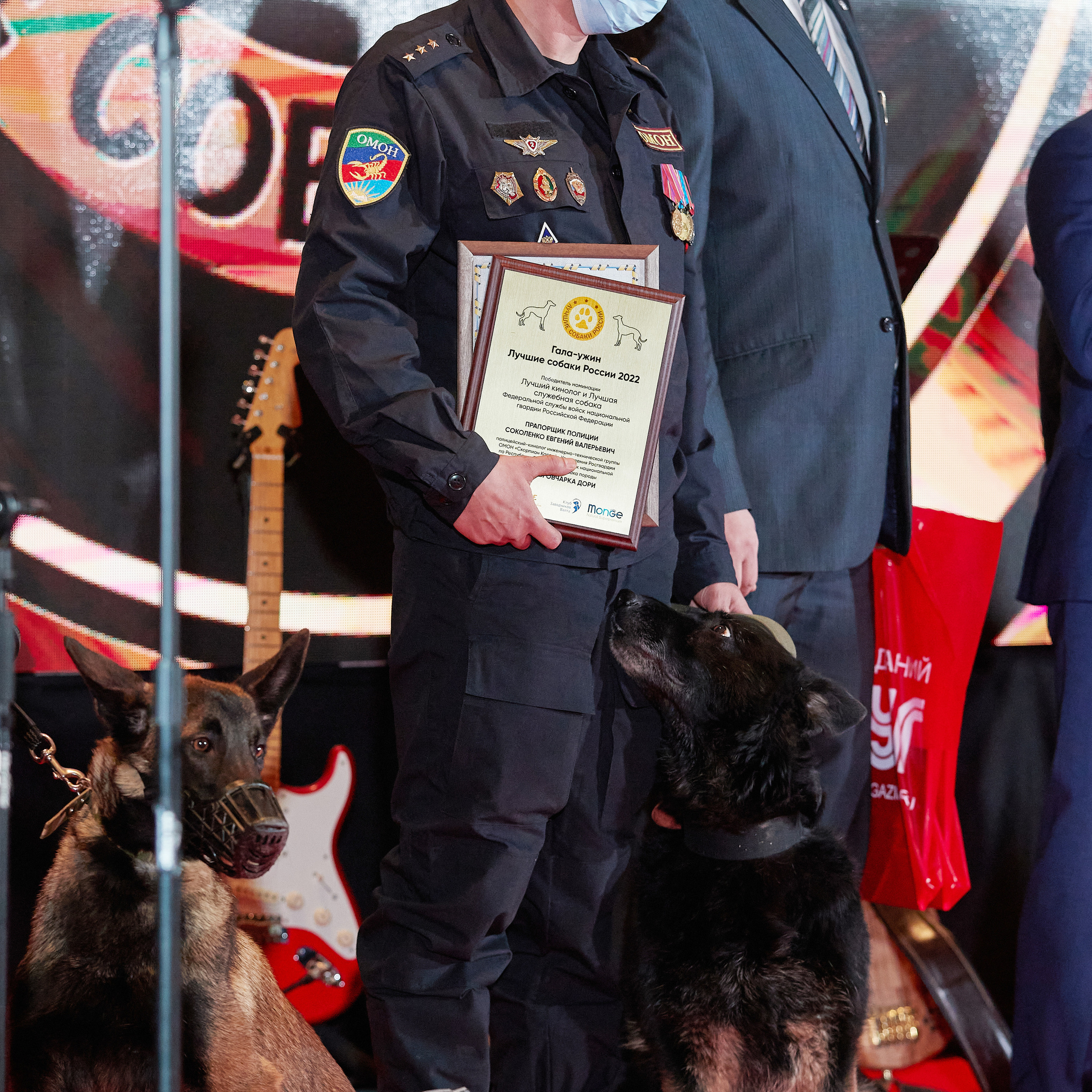 Репортаж с церемонии «BEST RUSSIAN DOG 2022». ФОТОГРАФ-АНИМАЛИСТ l LANA POLYAKOVA